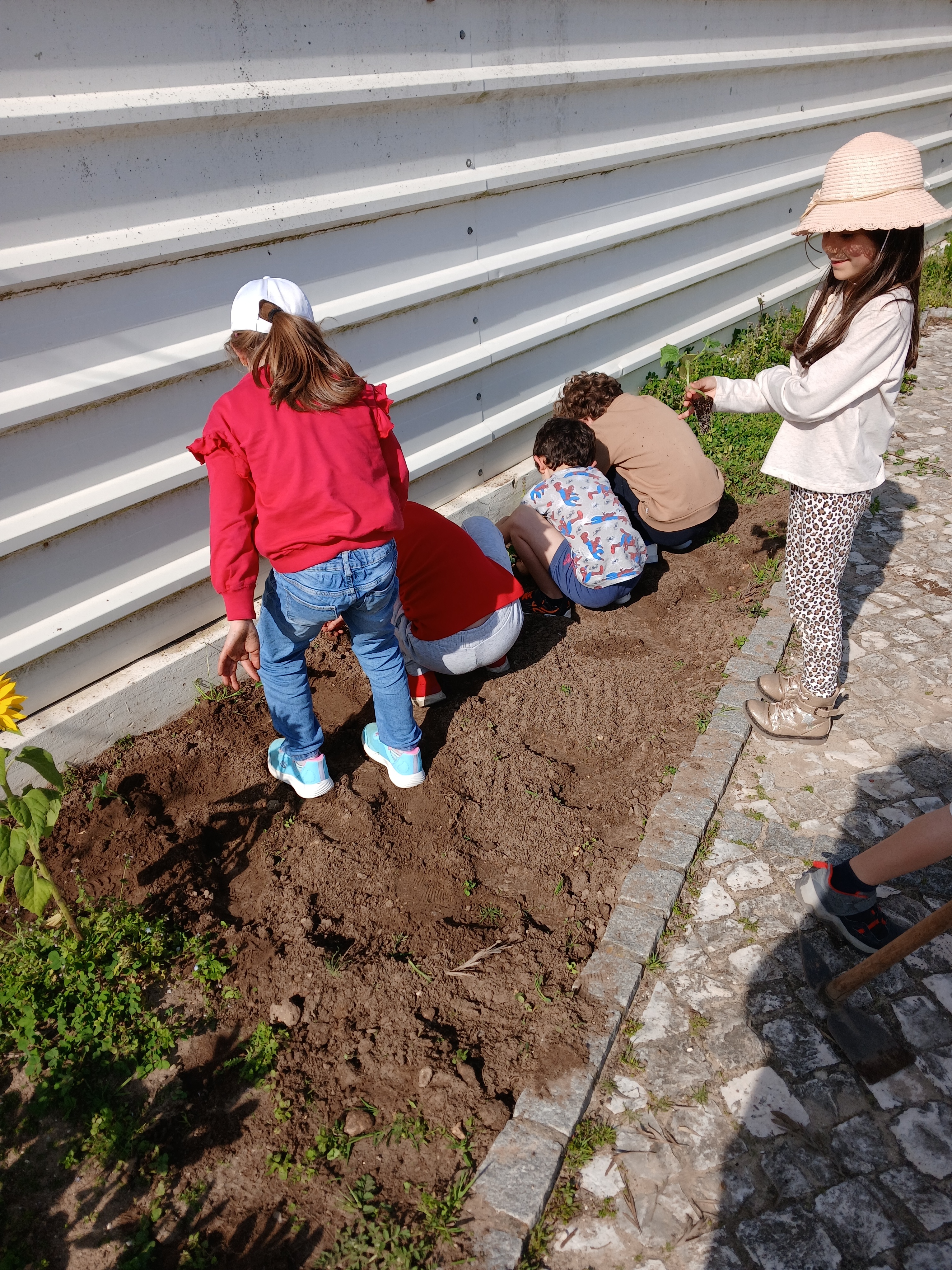 Os alunos aprendem a colocar as plantas na terra, a aconchegá-las e a regá-las.