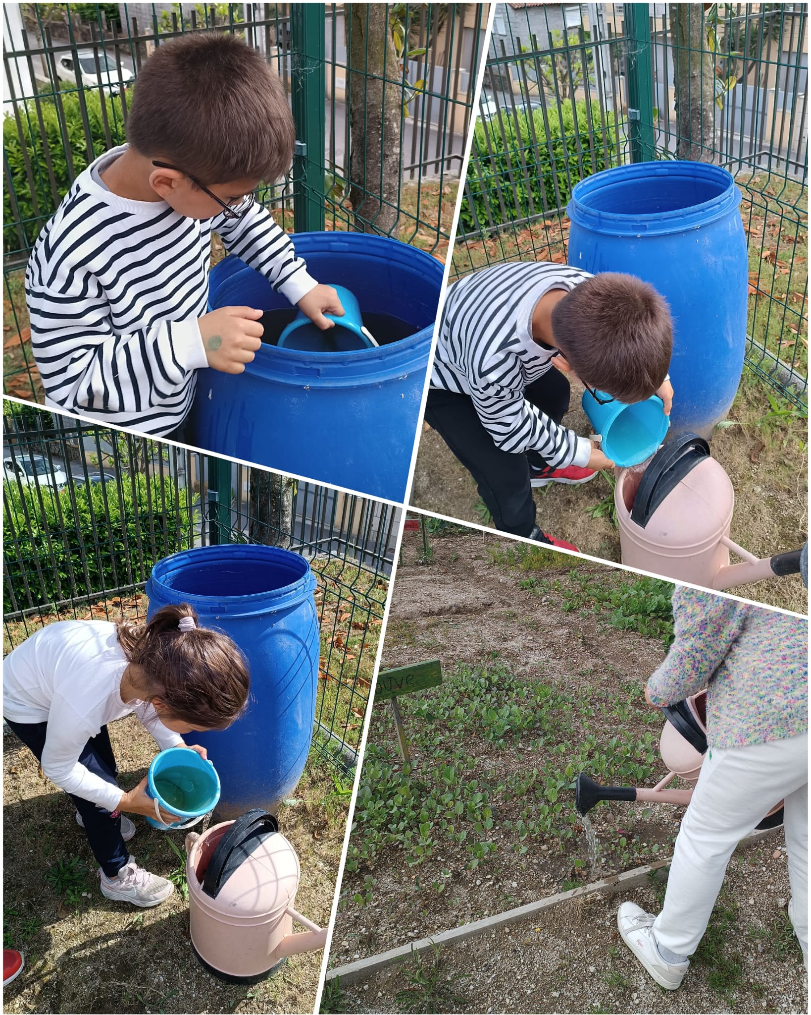 O aproveitamento de água da chuva para além de ser gratuita, não contem cloro ou flúor prejudiciais às plantas. Fazemo-la desde o início do projeto e os alunos adoram regar a nossa horta com essa água.