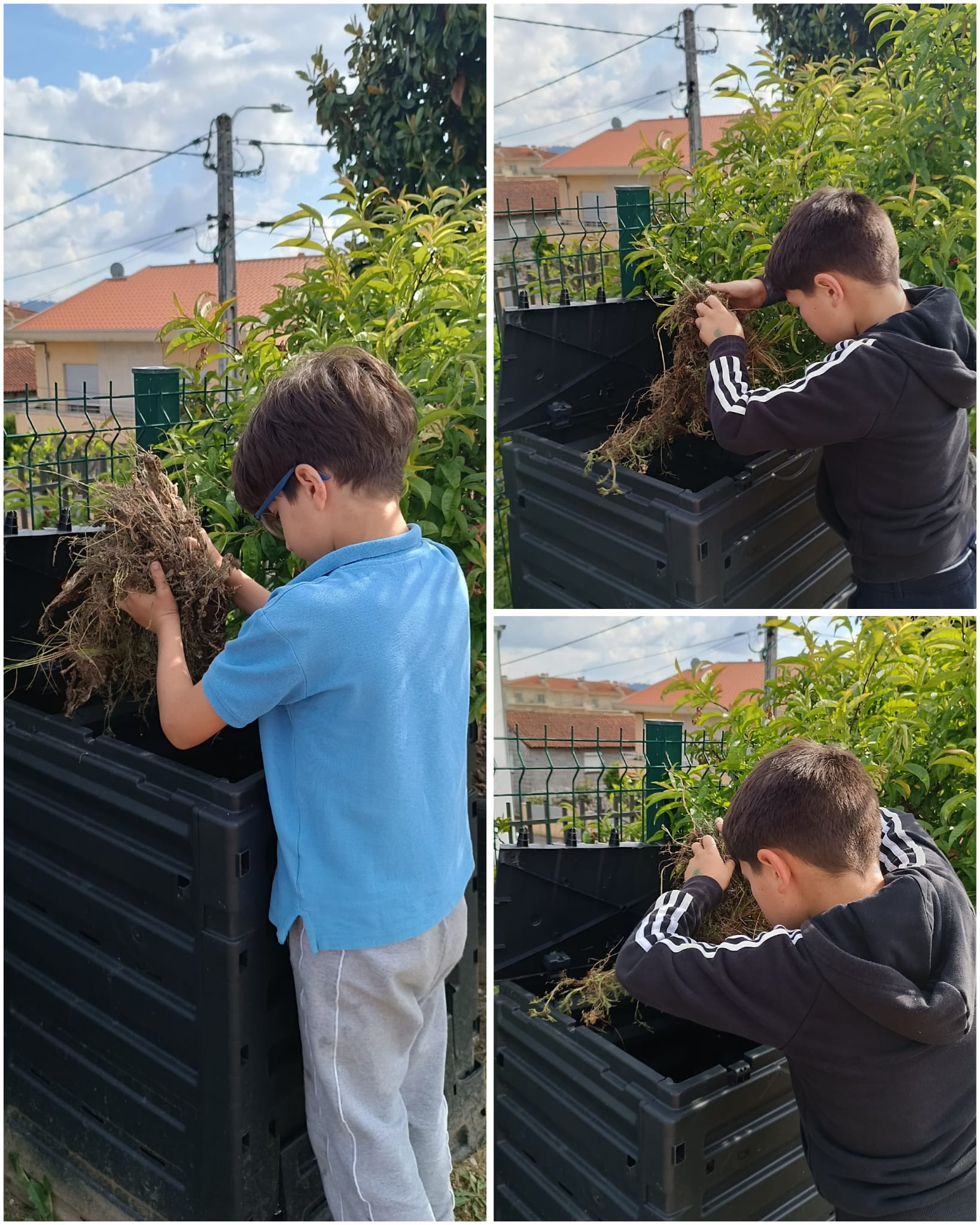 Considerada o "coração" de uma horta saudável e um pilar da sustentabilidade, a compostagem é realizada na nossa escola e serve de adubo natural para a nossa horta.