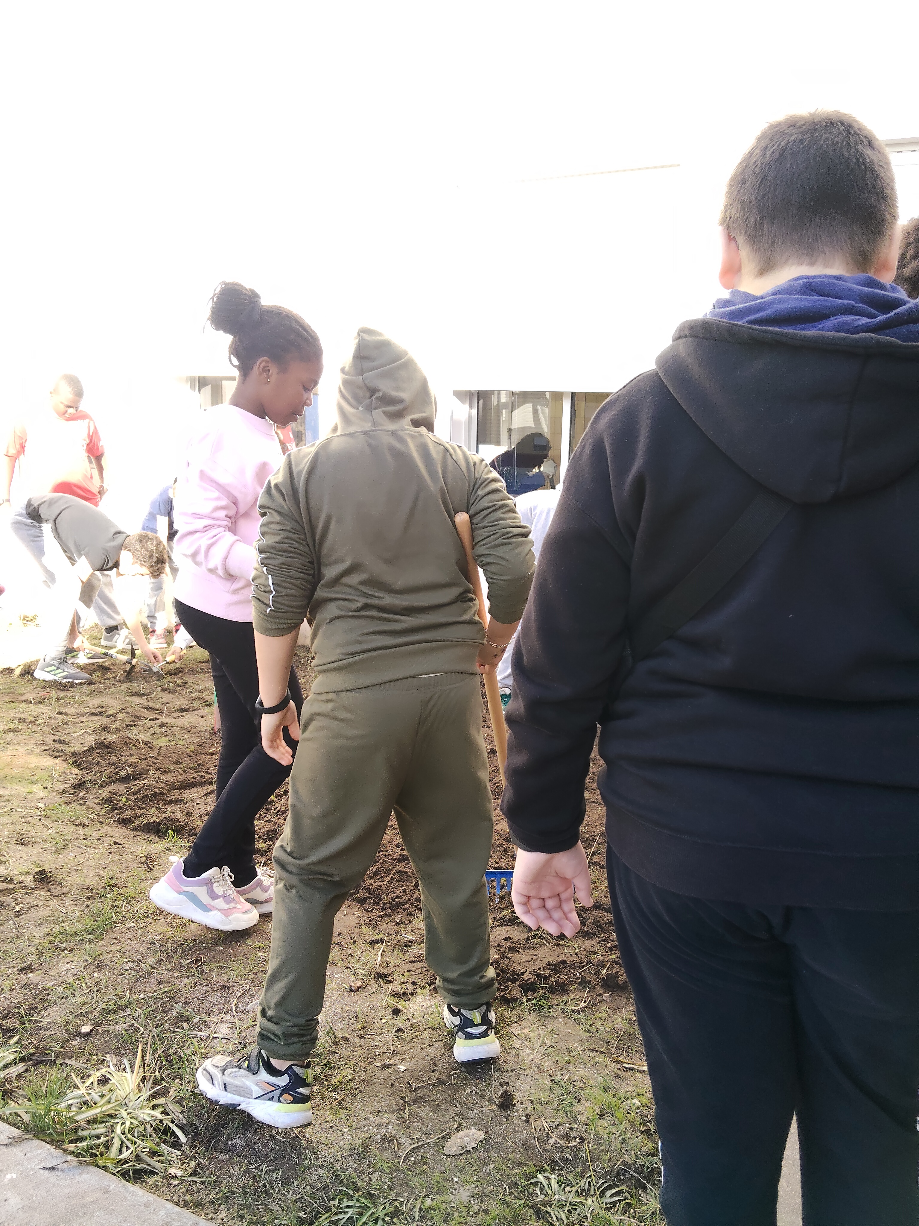 Limpeza do terreno de infestantes