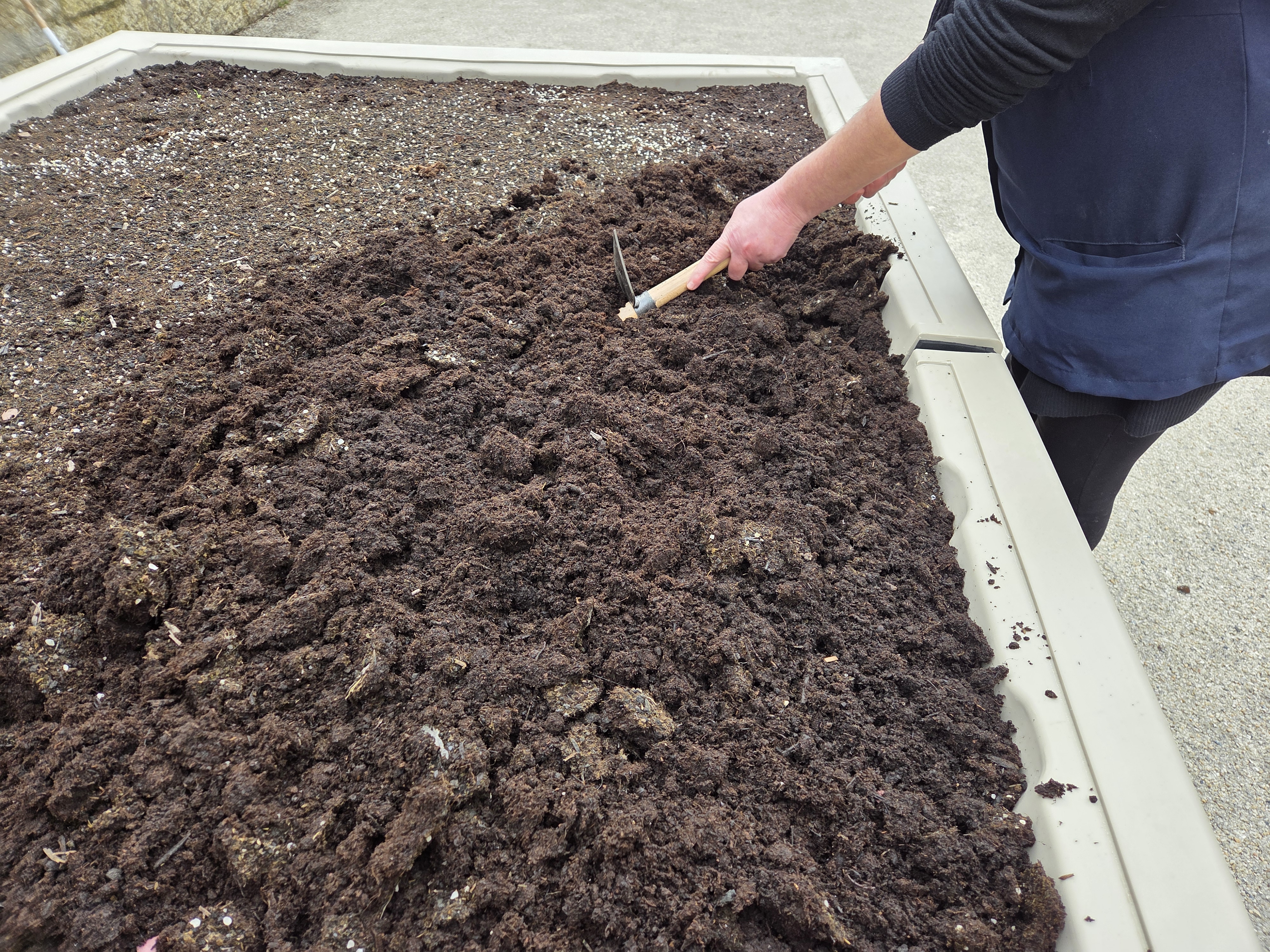 Para preparar o solo da horta, a terra foi mexida com uma enxada de jardim para descompactar e foi misturado adubo orgânico. O solo descansou antes da plantação.
