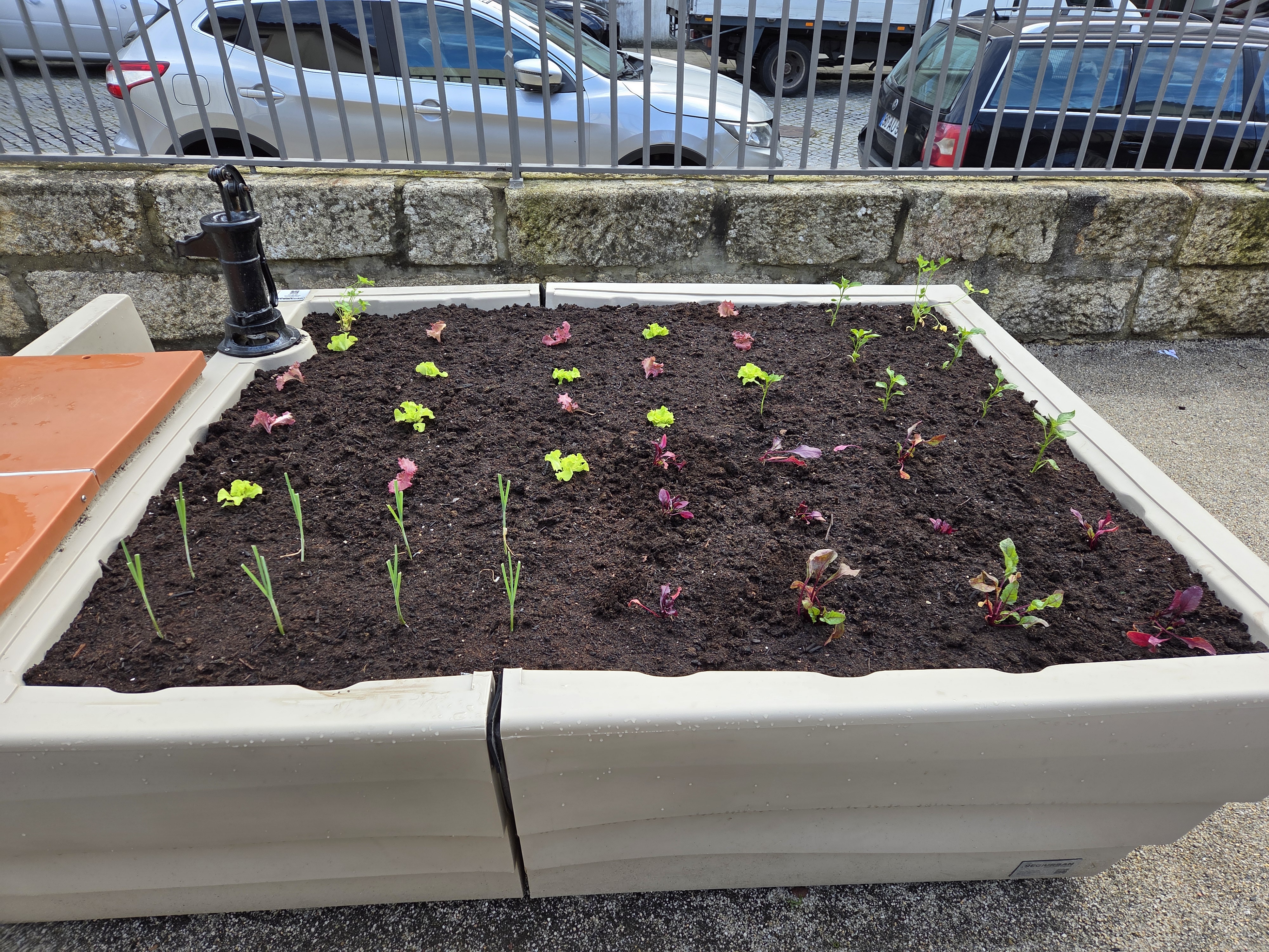 A horta ficou pronta para promover aprendizagens acerca da proveniência de produtos hortícolas e proporcionar aos alunos a oportunidade de observar, cuidar e acompanhar o desenvolvimento de diferentes plantas.