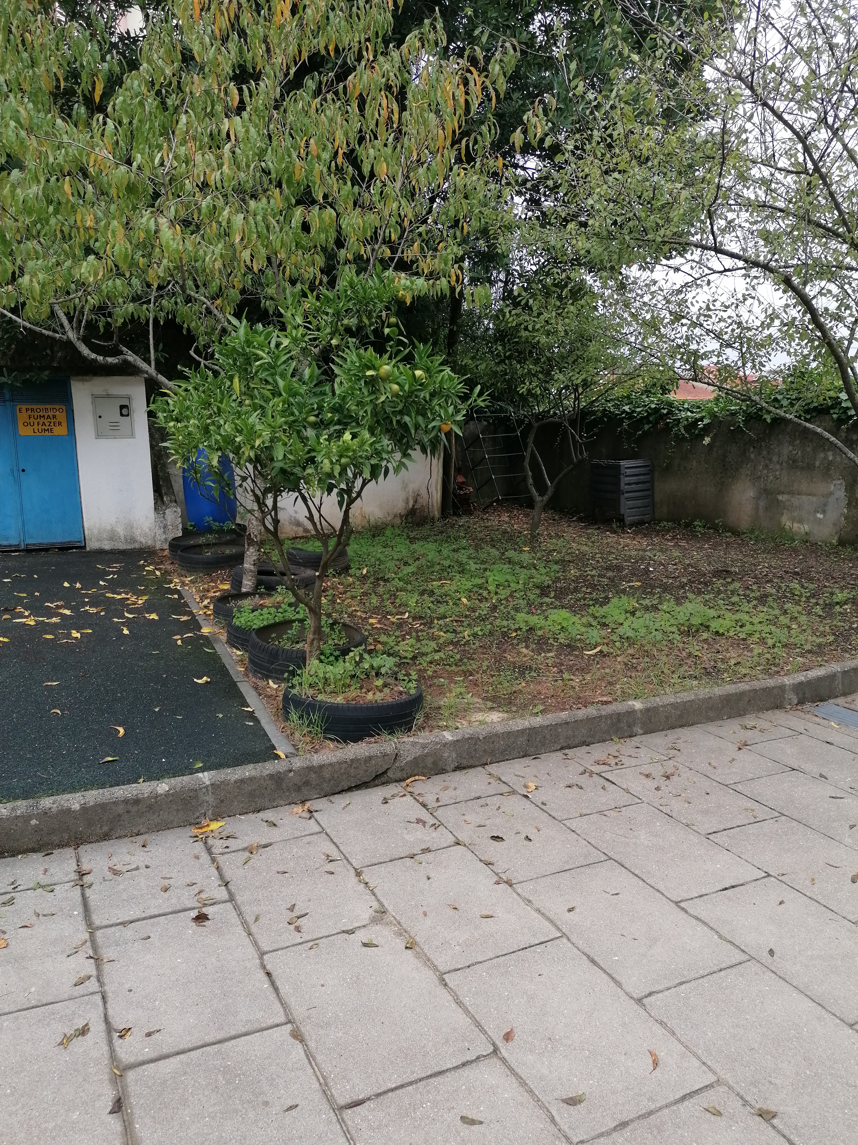 Futuro espaço da horta