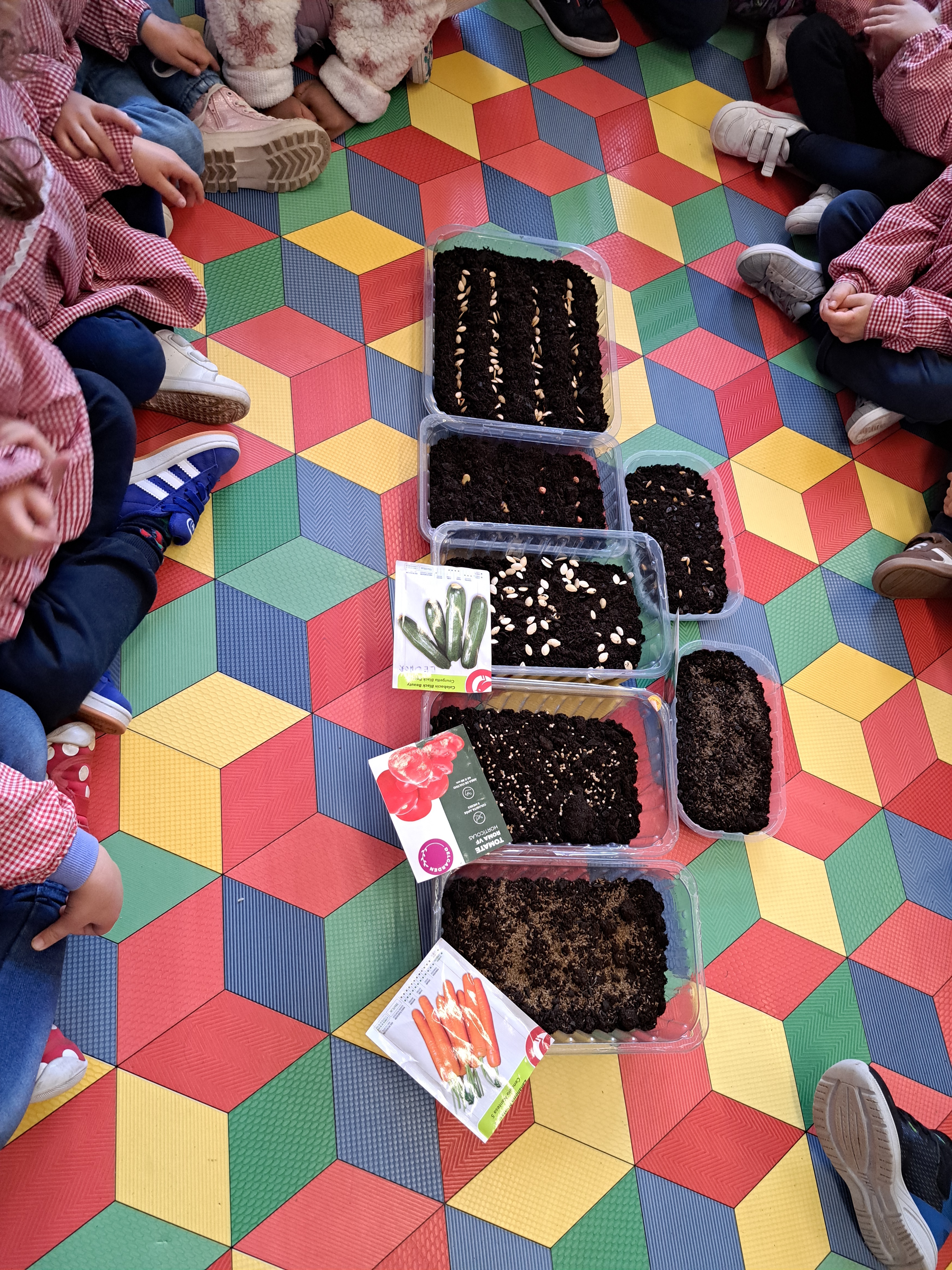 Experiência de germinação