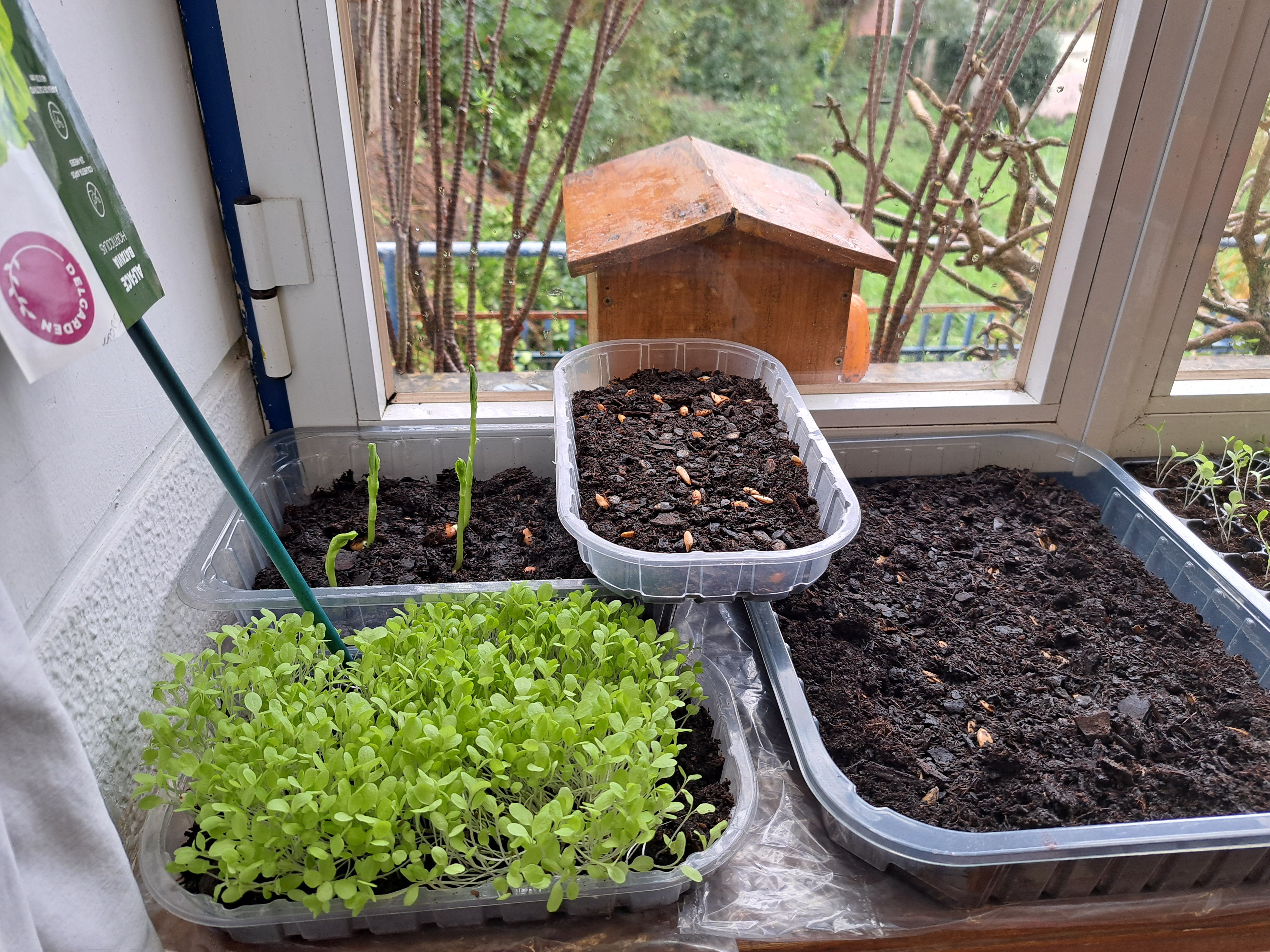 Acompanhar o crescimento - Ciclo do crescimento