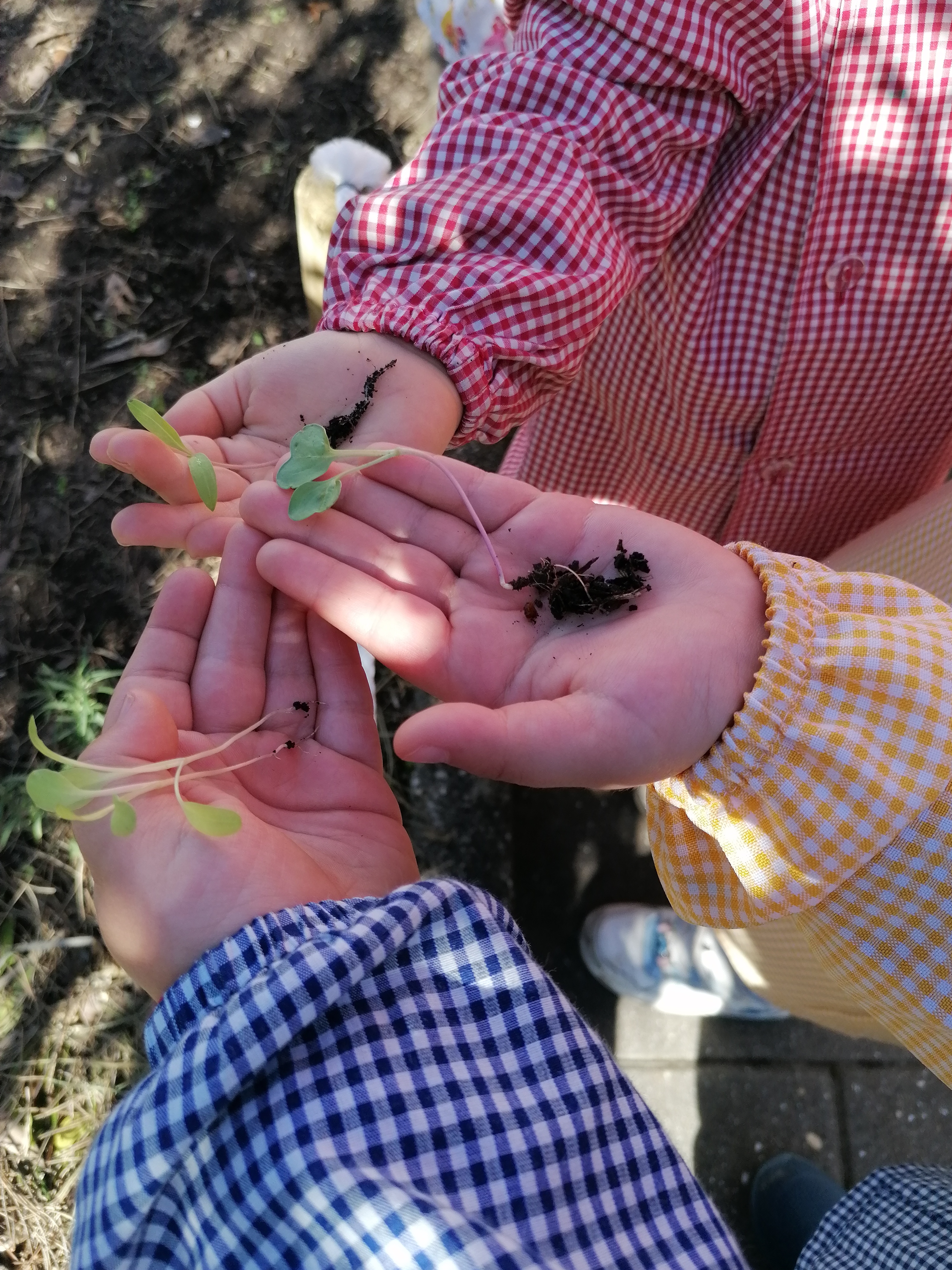 Cuidar com as próprias mãos