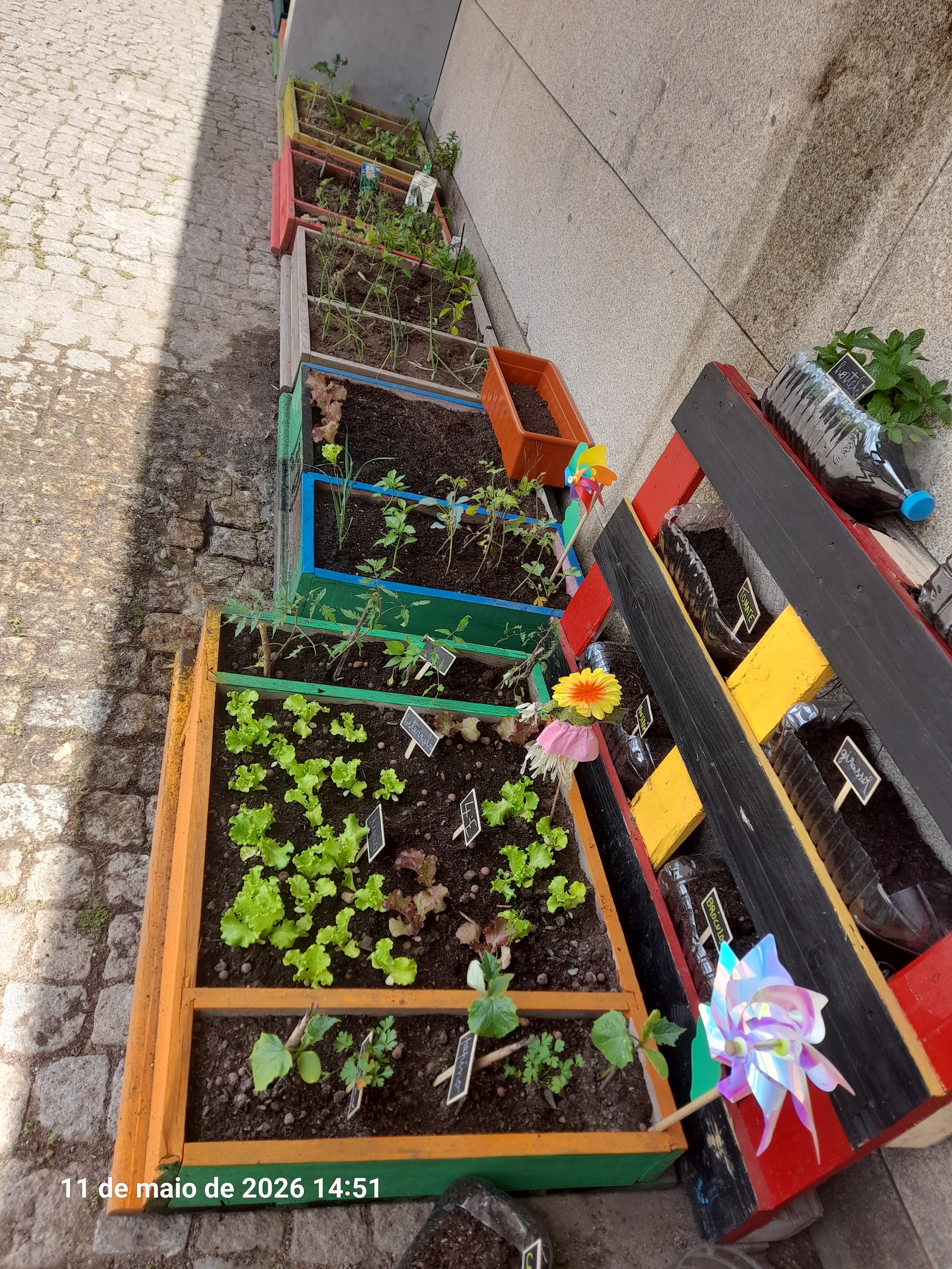 Hortas com plantas e sementes.
