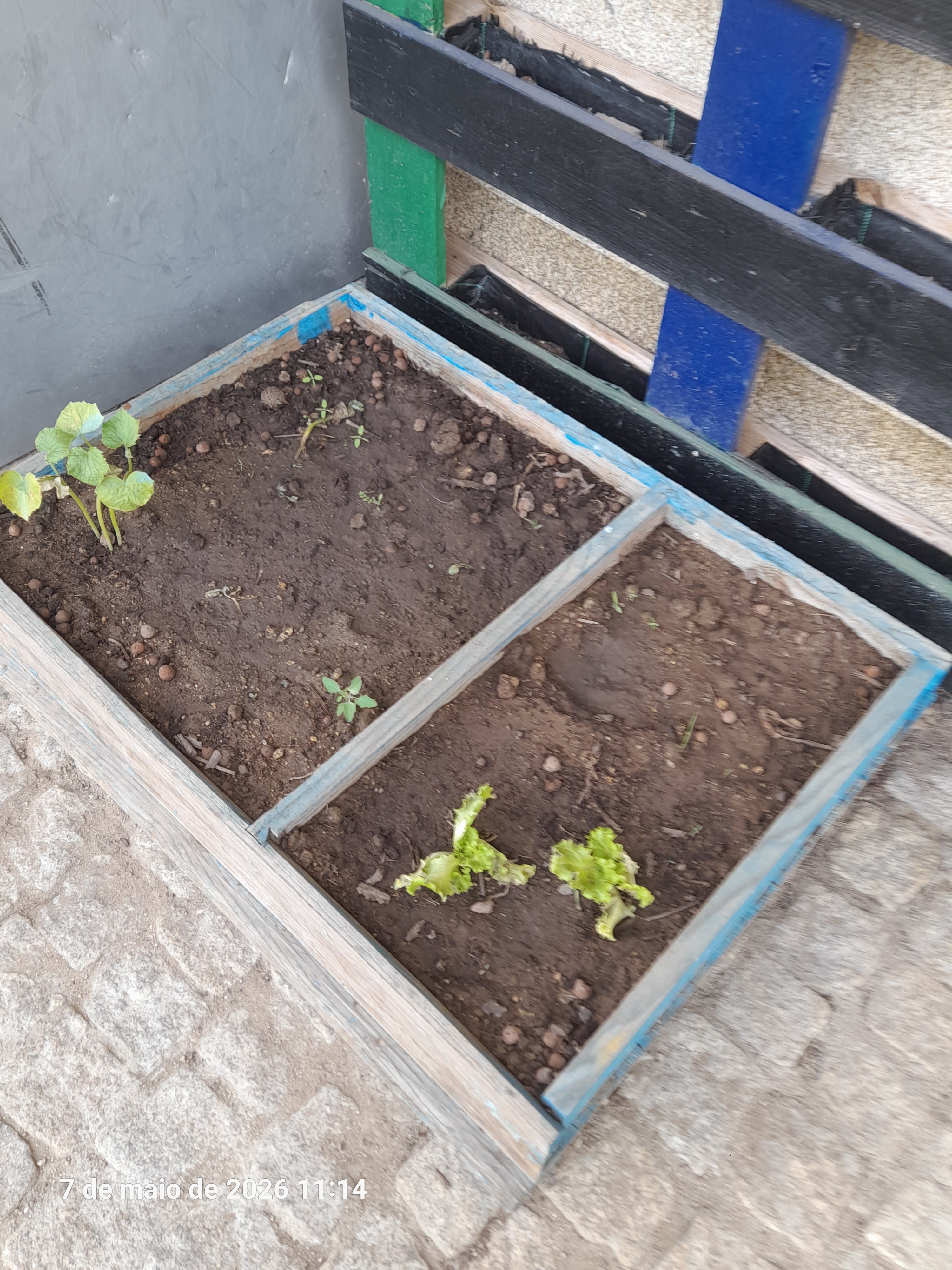 Horta a ser preparada para cultivo.