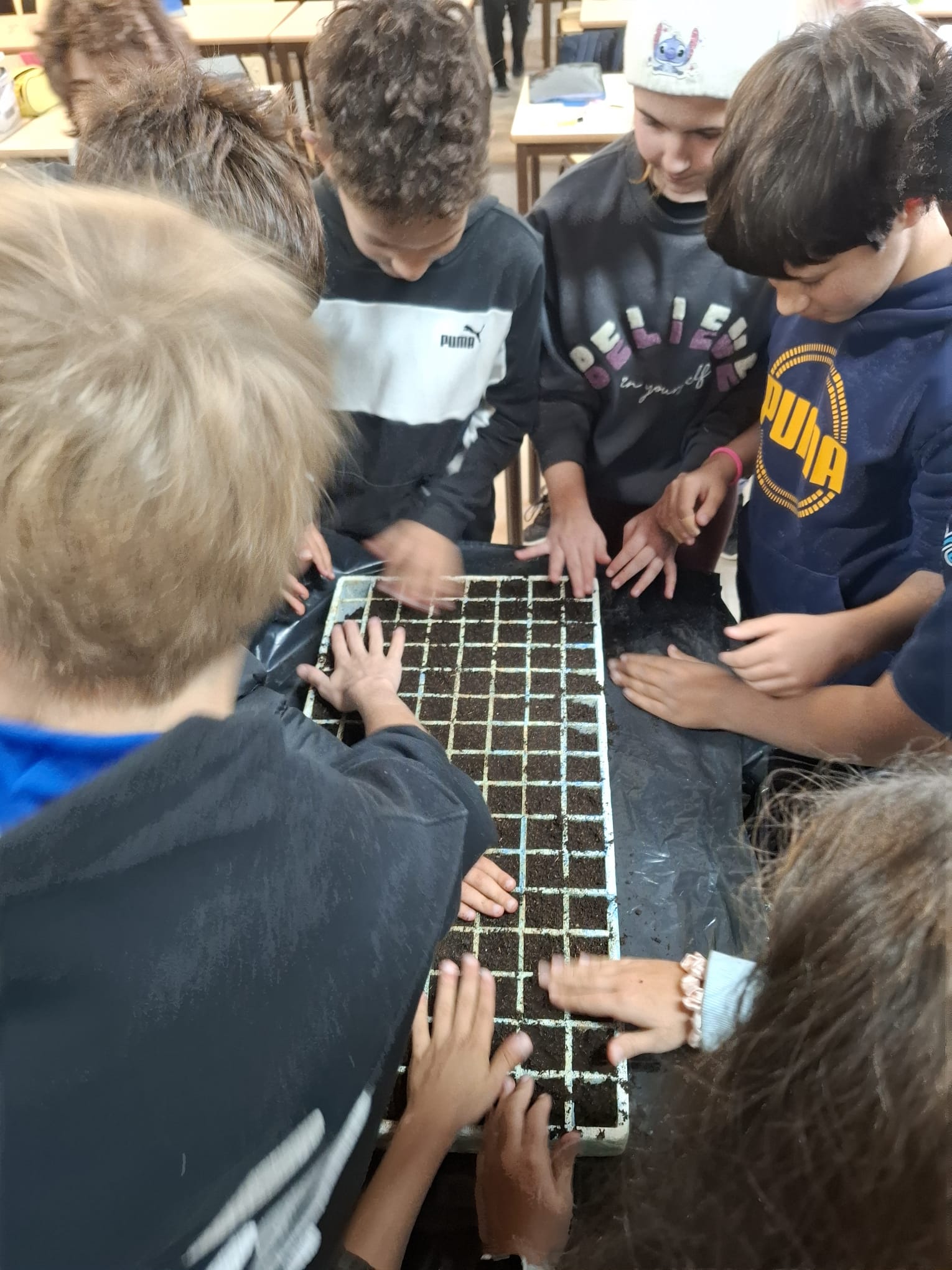 Após uma aula de sensibilização em ET sobre agricultura biológica, os alunos realizaram a sementeira de hortículas e ervas aromáticas. Esta atividade promove a autonomia e o respeito pelos tempos da natureza.