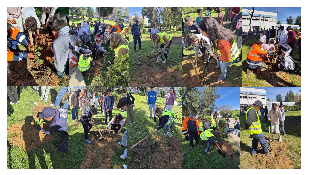 No âmbito do Dia da Árvore, também plantámos árvores autóctones junto à horta, reforçando a biodiversidade e a sustentabilidade do espaço educativo, conforme orientações do Eco-Escolas.