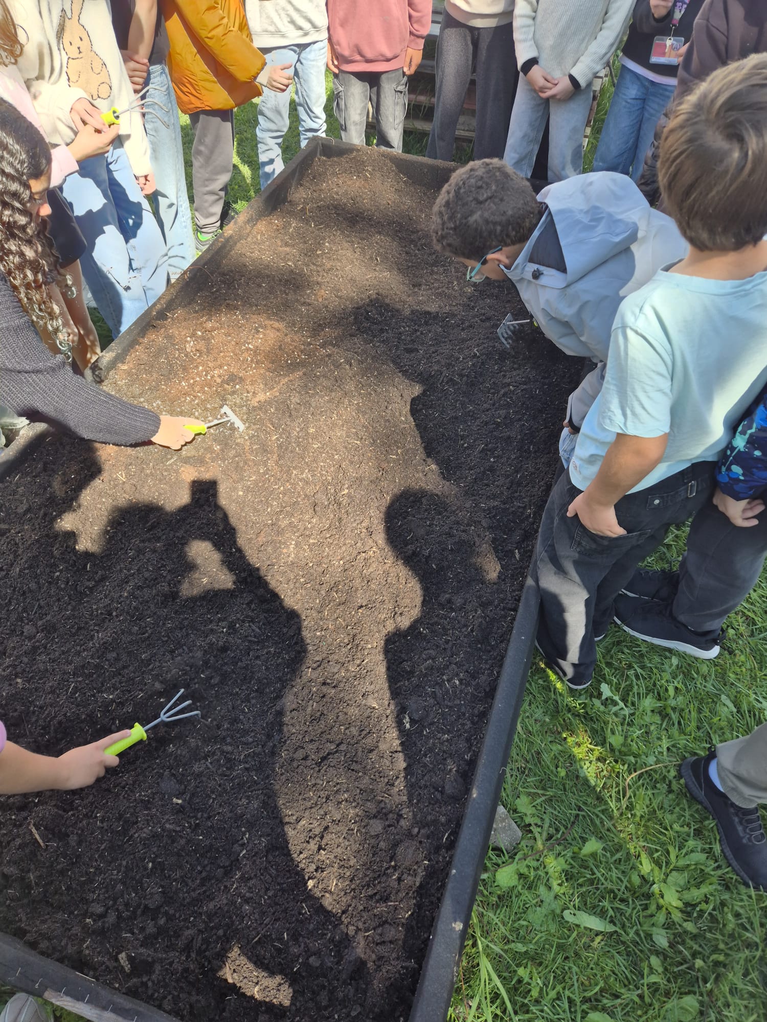 Preparámos os canteiros com reforço de terra e composto orgânico, incluindo o resultado do projeto “Ciclo das Cascas”, garantindo um solo fértil, saudável e adequado às hortícolas e aromáticas. Esta prática cumpre os princípios da agricultura biológica