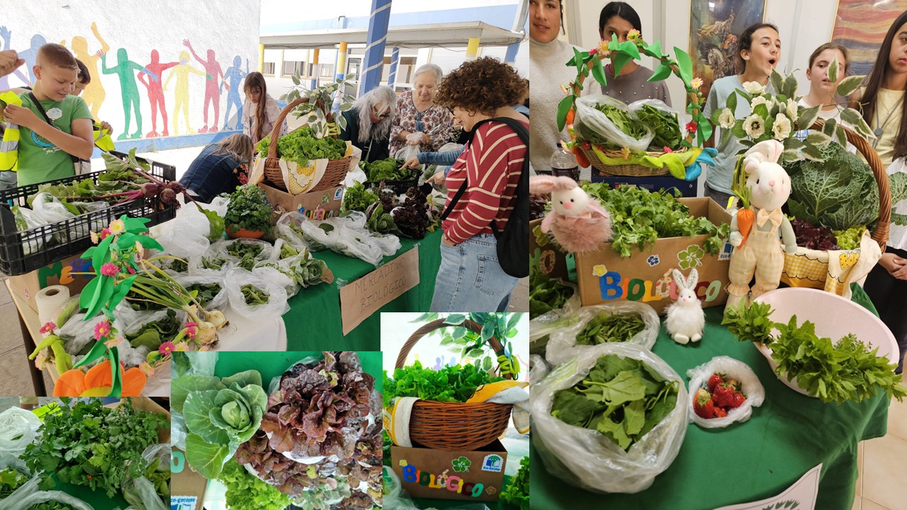 Dinamização de 4 mercadinhos biológicos na sala de professores/espaço exterior, destinados a toda a comunidade educativa. Venderam-se os produtos biológicos plantados e colhidos na horta. A Bruga/Hortas LX, estiveram presentes e valorizaram o trabalho.