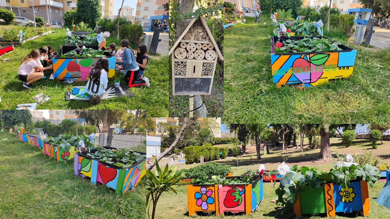 Os alunos participaram na valorização estética da horta, tornando o espaço apelativo e acolhedor, reforçando o respeito pela Natureza e o sentimento de pertença à escola; instalaram um hotel para insetos, promotor da biodiversidade e polinização da horta.