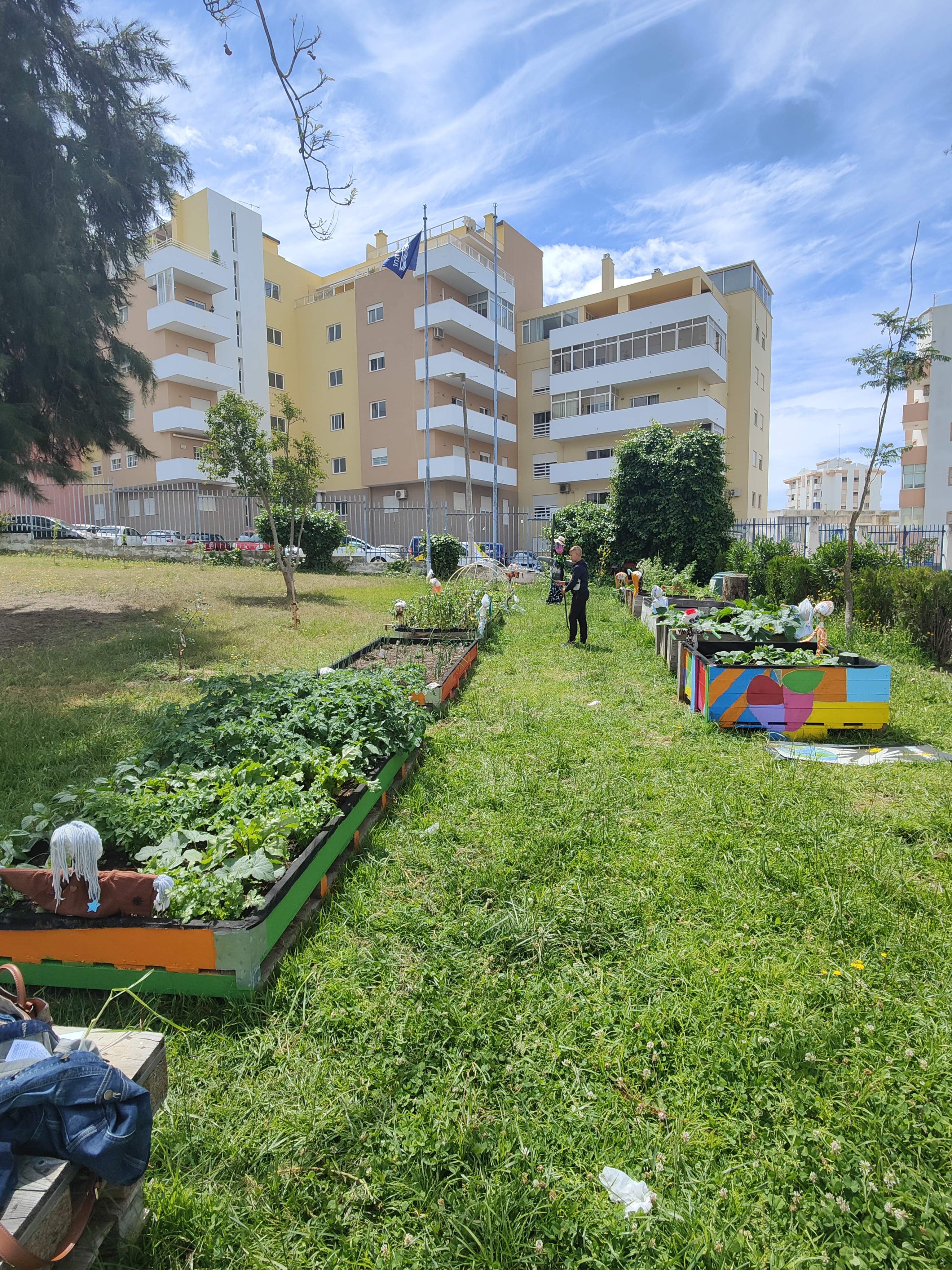 Os alunos cuidaram da rega e manutenção da horta, aprendendo a importância do cuidado diário das plantas e da preservação do espaço, em rotatividade entre turmas.
