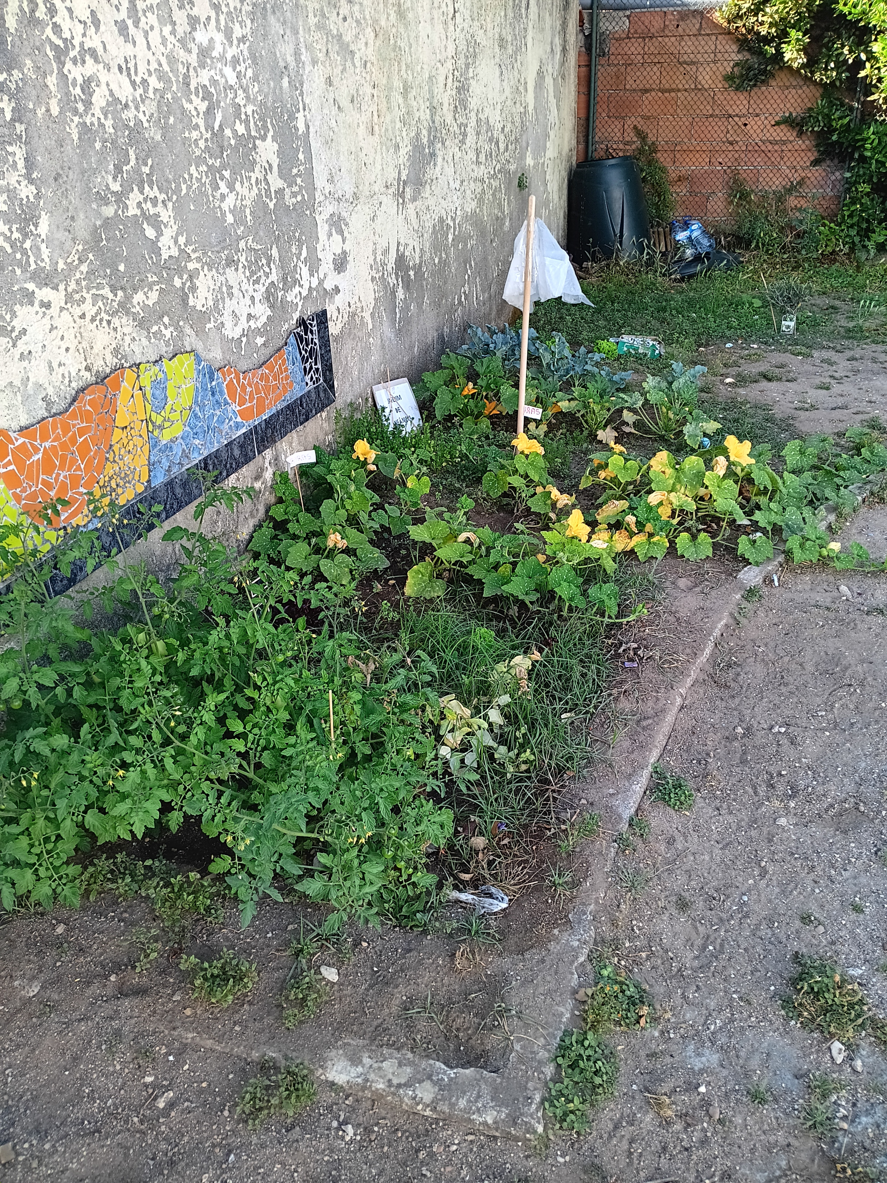 Horta Jardim de Infância