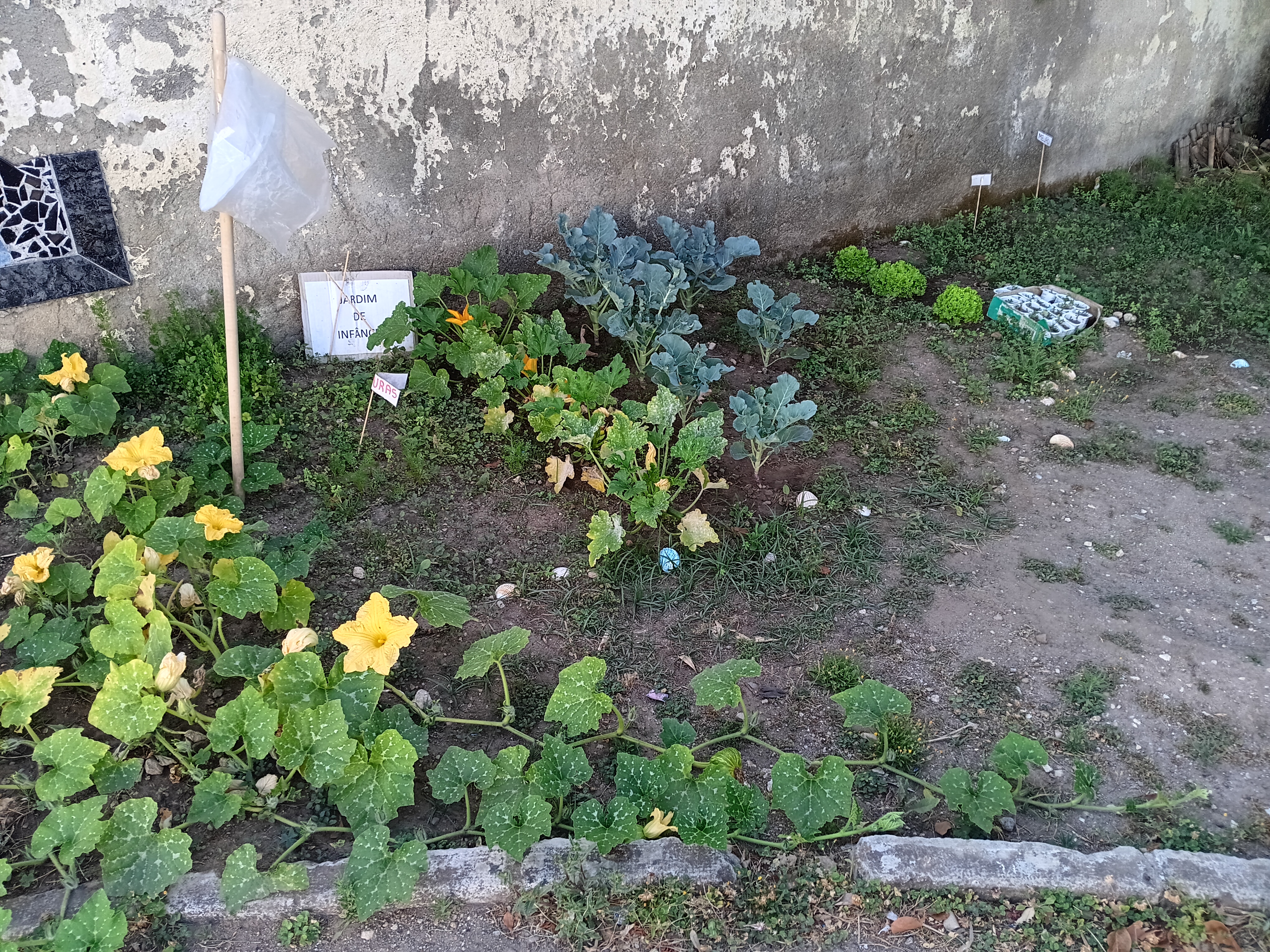 Horta Jardim de Infância