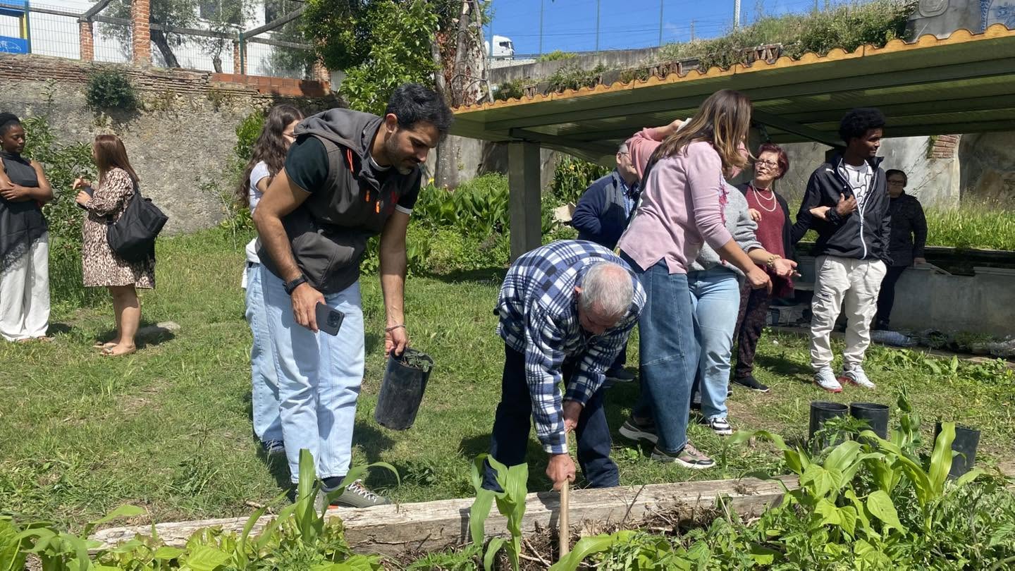 Trabalhos de remoção de algumas ervas.