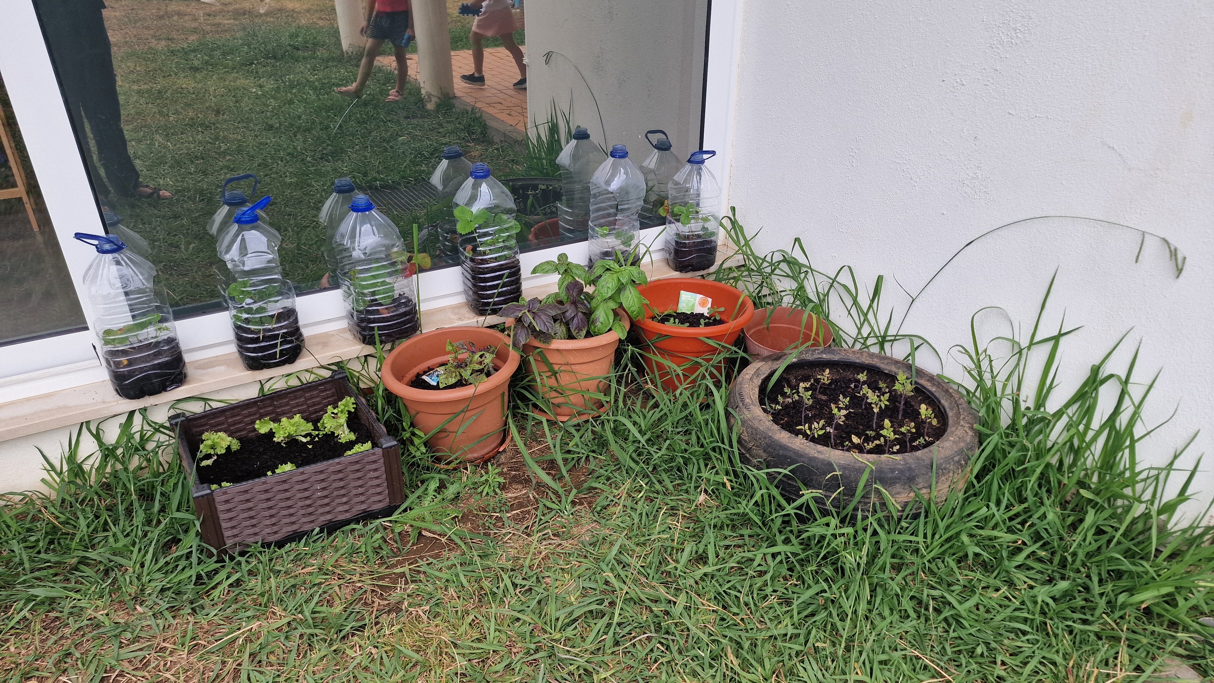 Plantações