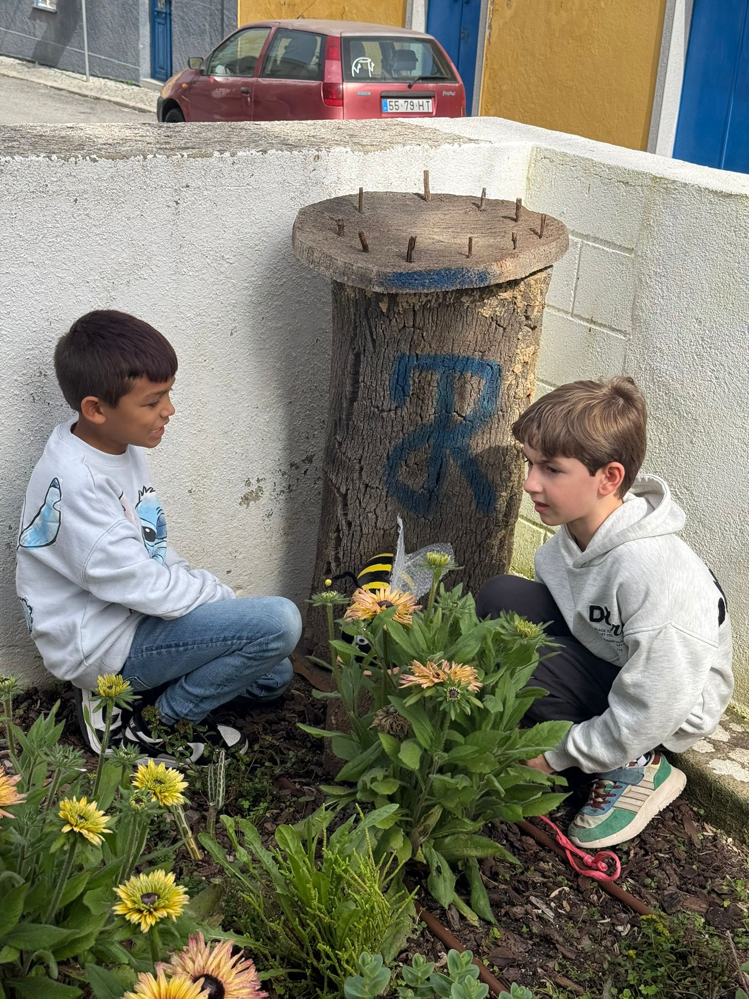 Cuidar das plantas.
