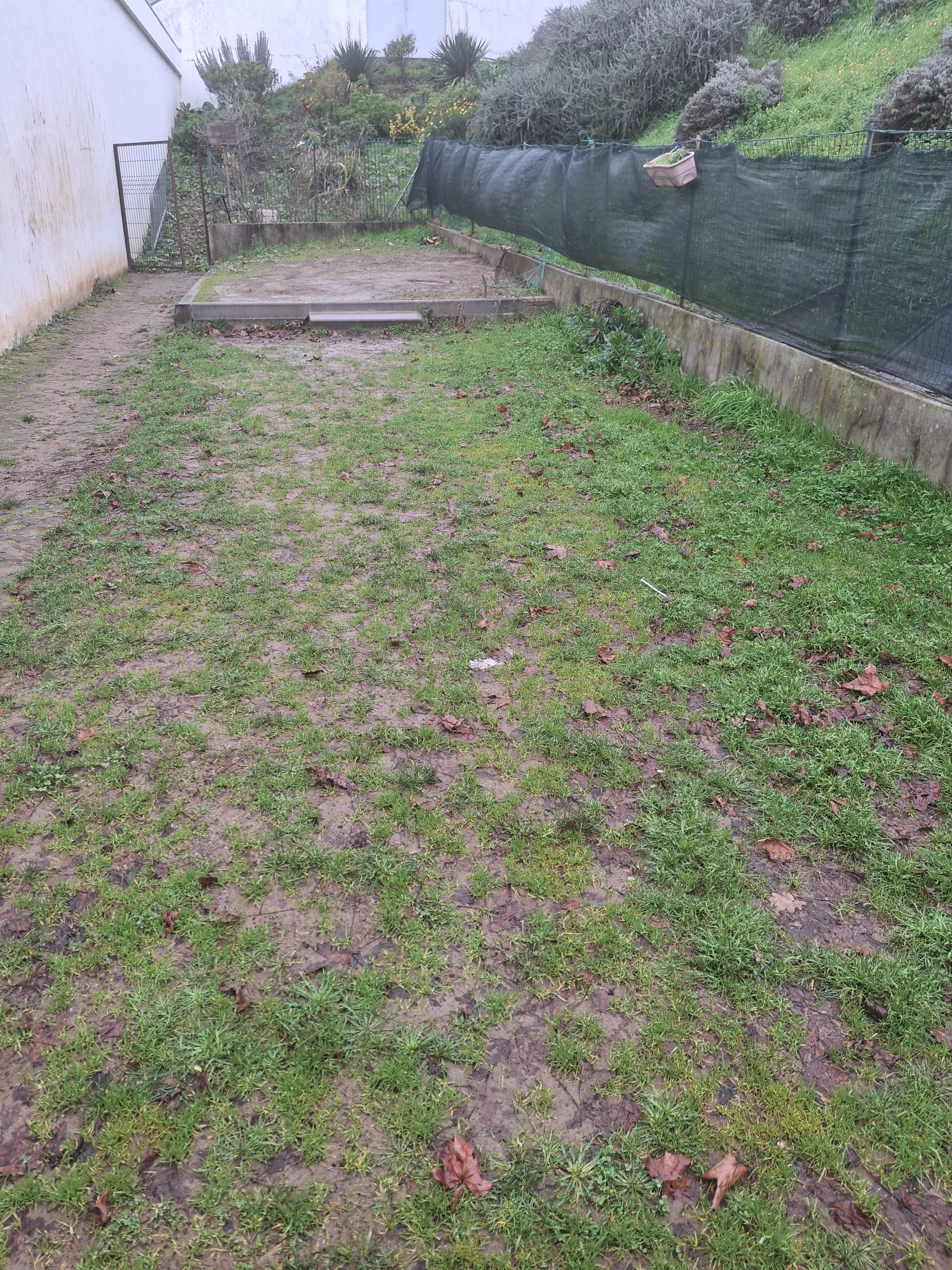 Horta Centro escolar do Agrupamento de Escolas António Natividade