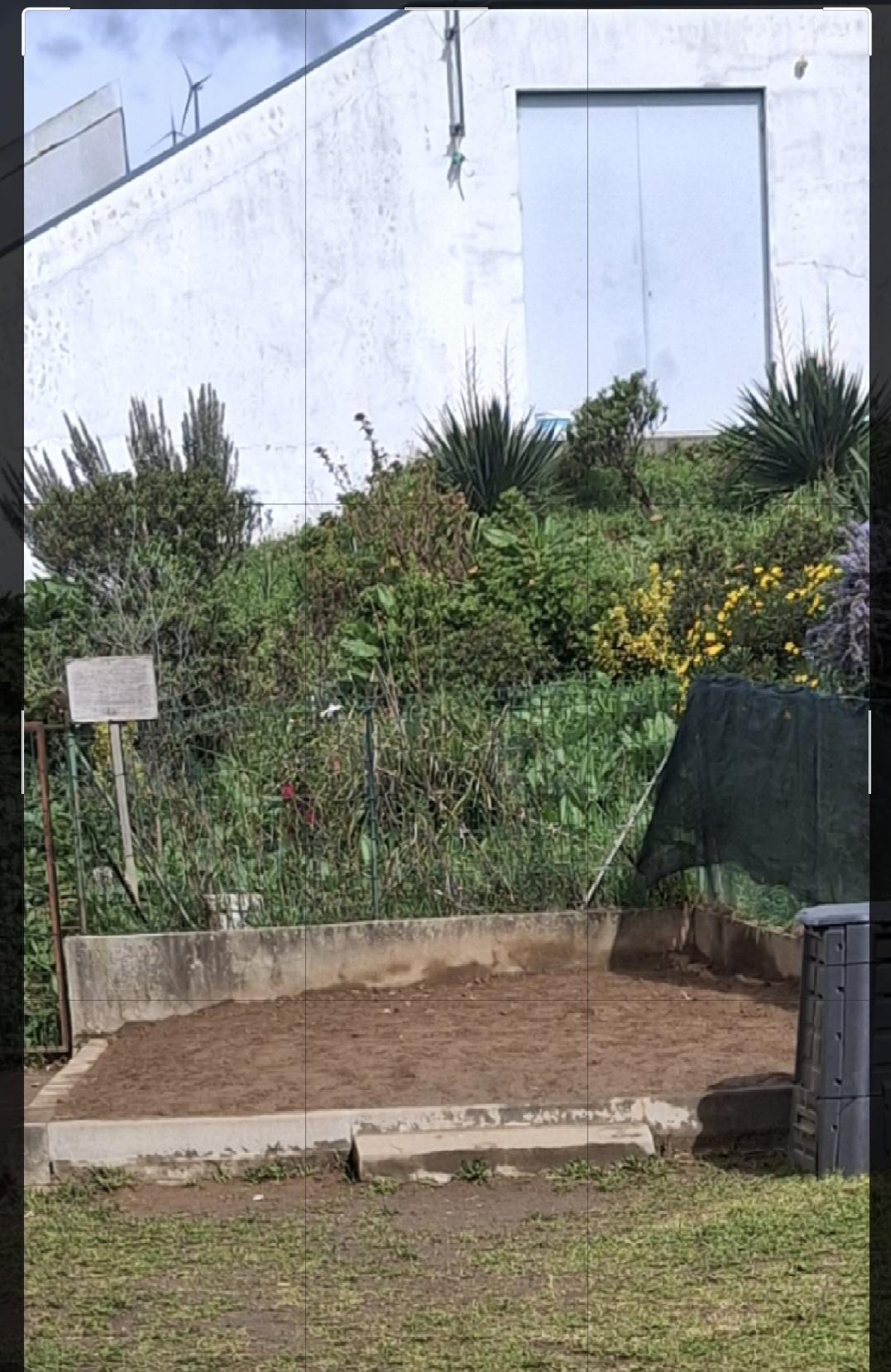 Atribuição de um nome para a Horta: Horta dos sentidos