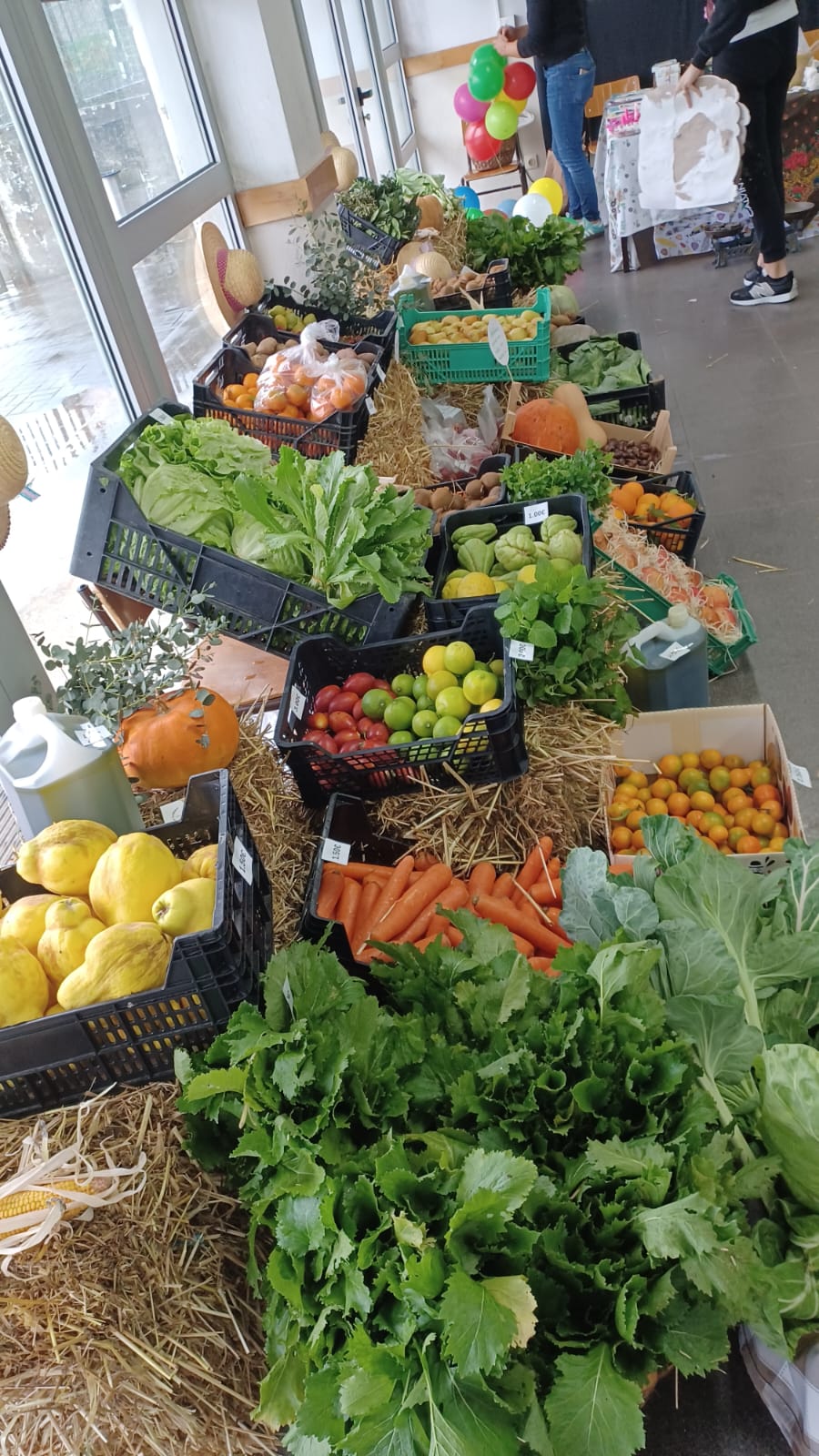 Produtos hortícolas