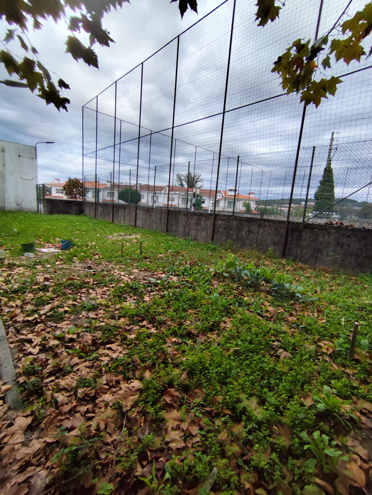 O espaço da horta