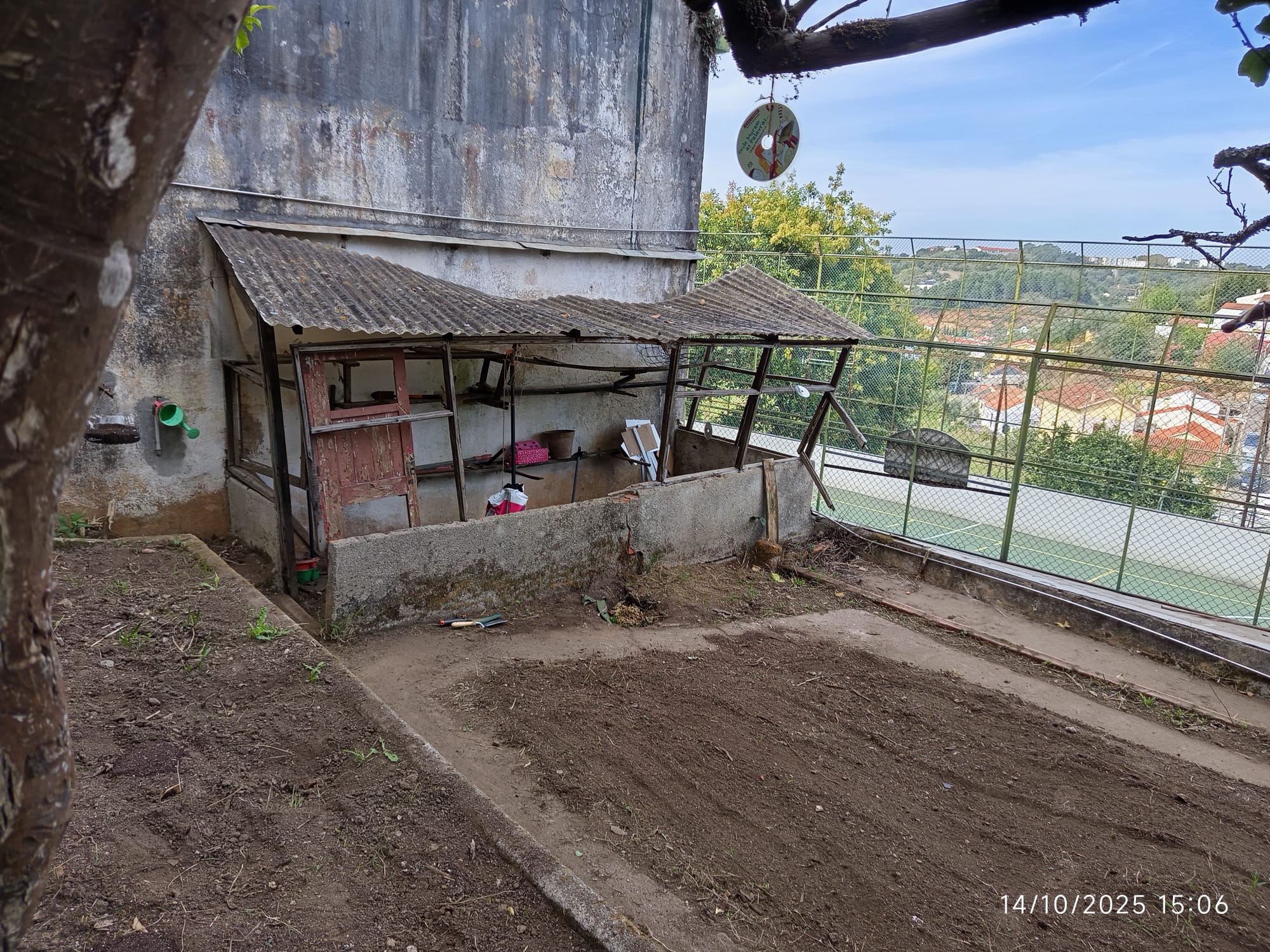 Terreno após a limpeza