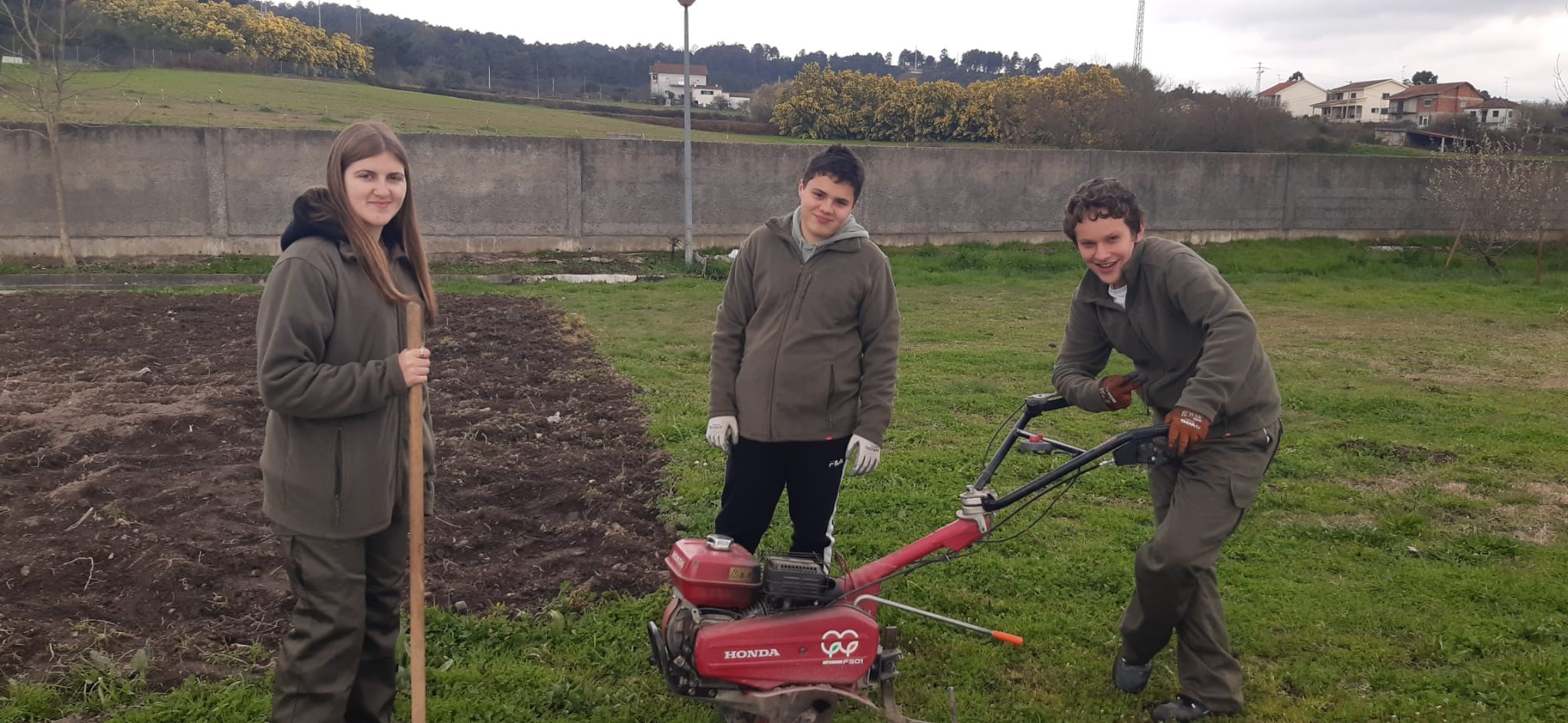 Preparação do terreno da horta