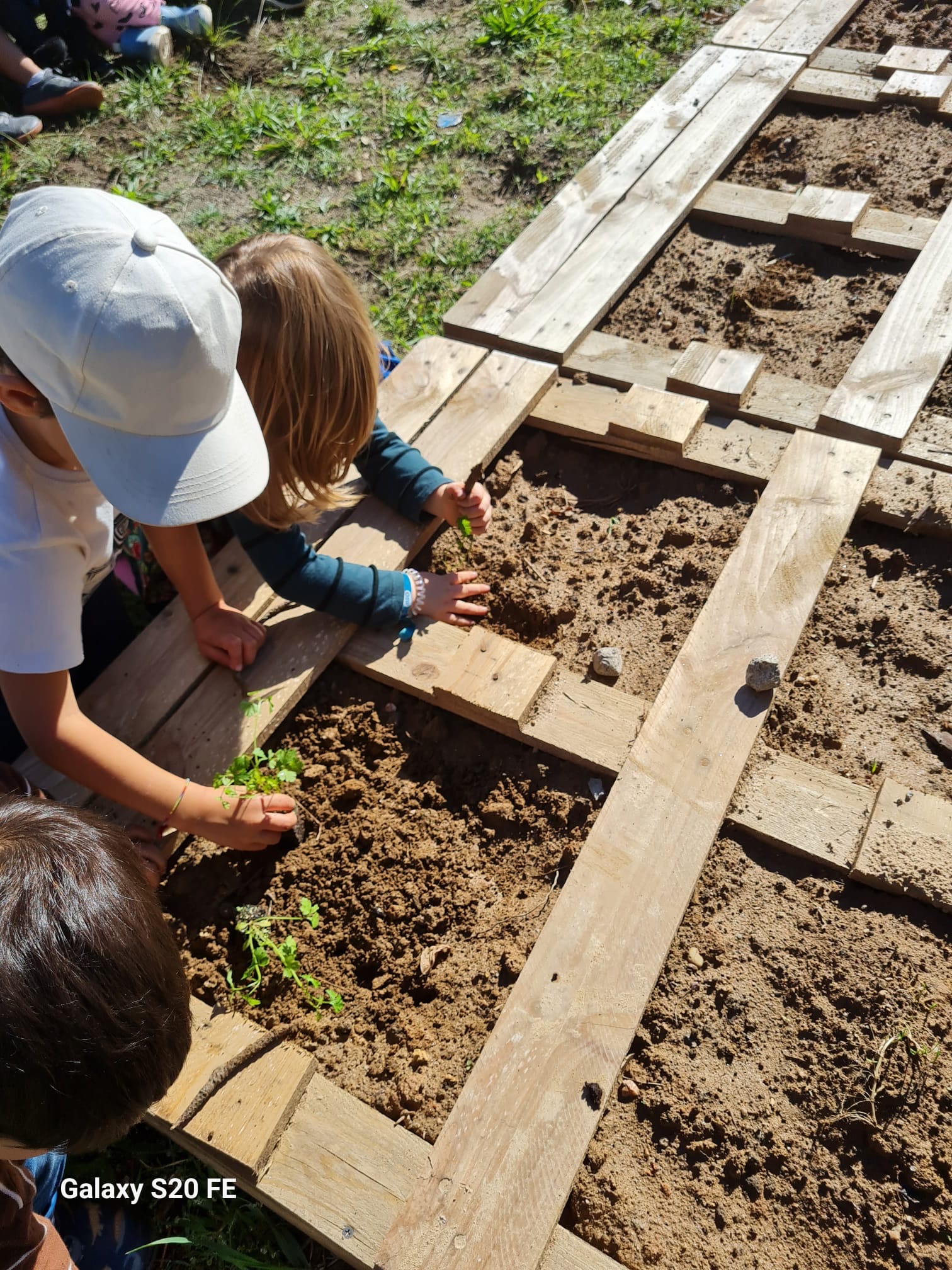 Depois de trabalhada a terra, plantam-se as primeiras plantas.