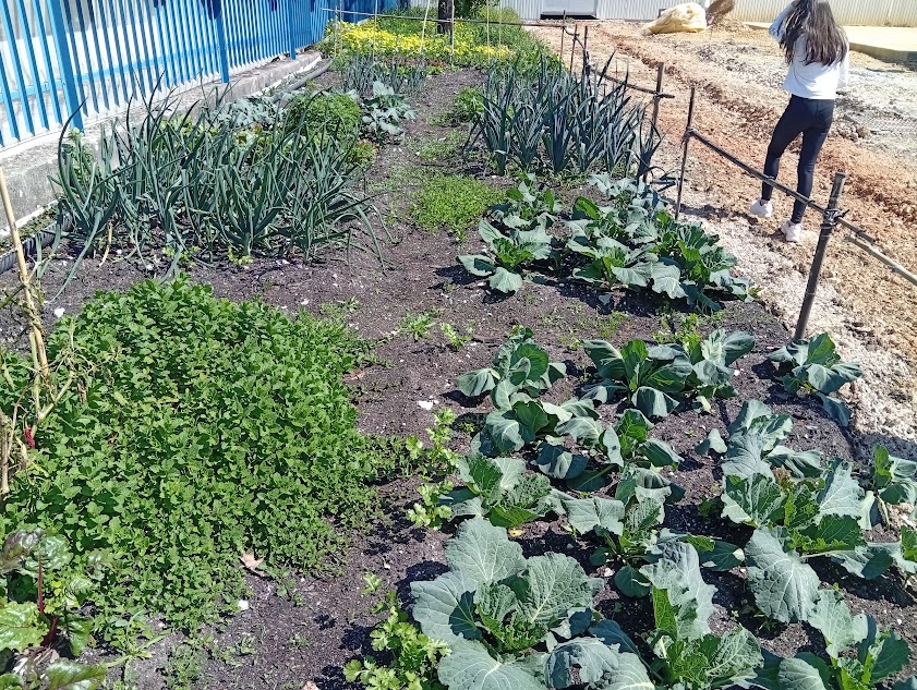 Horta Biológica, aspeto geral.