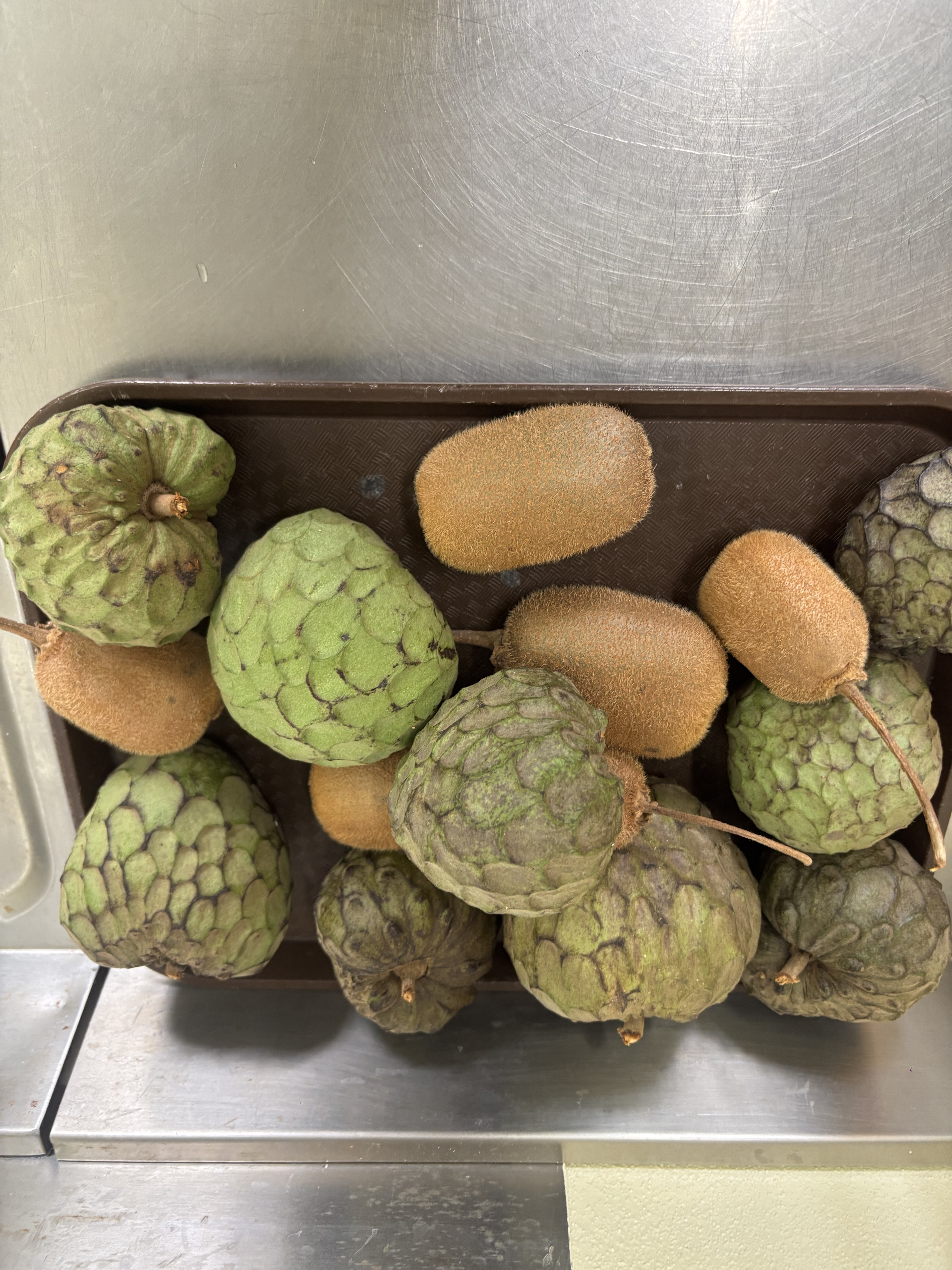 Fruta da horta para o almoço