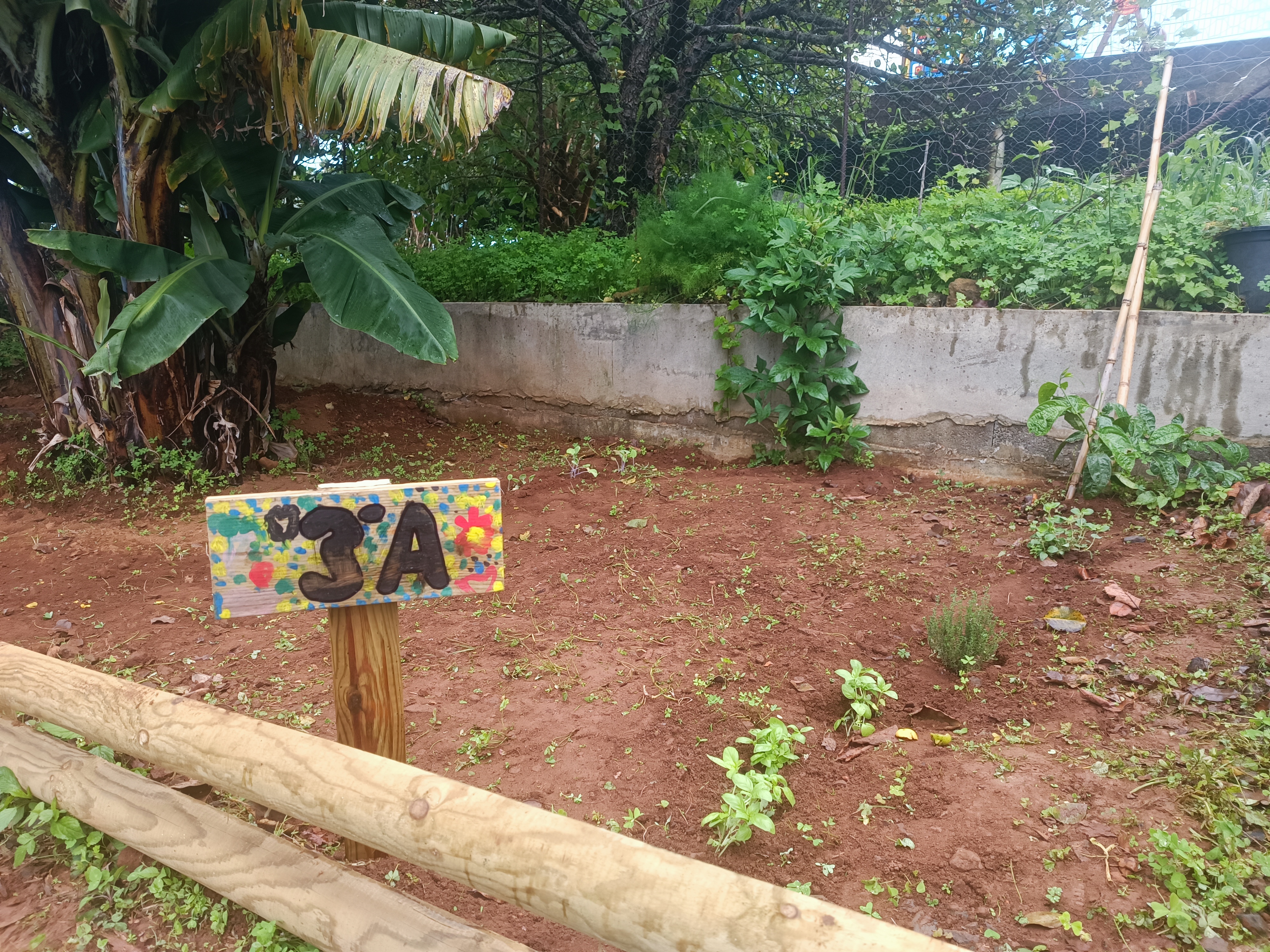 Plantação dos canteiros