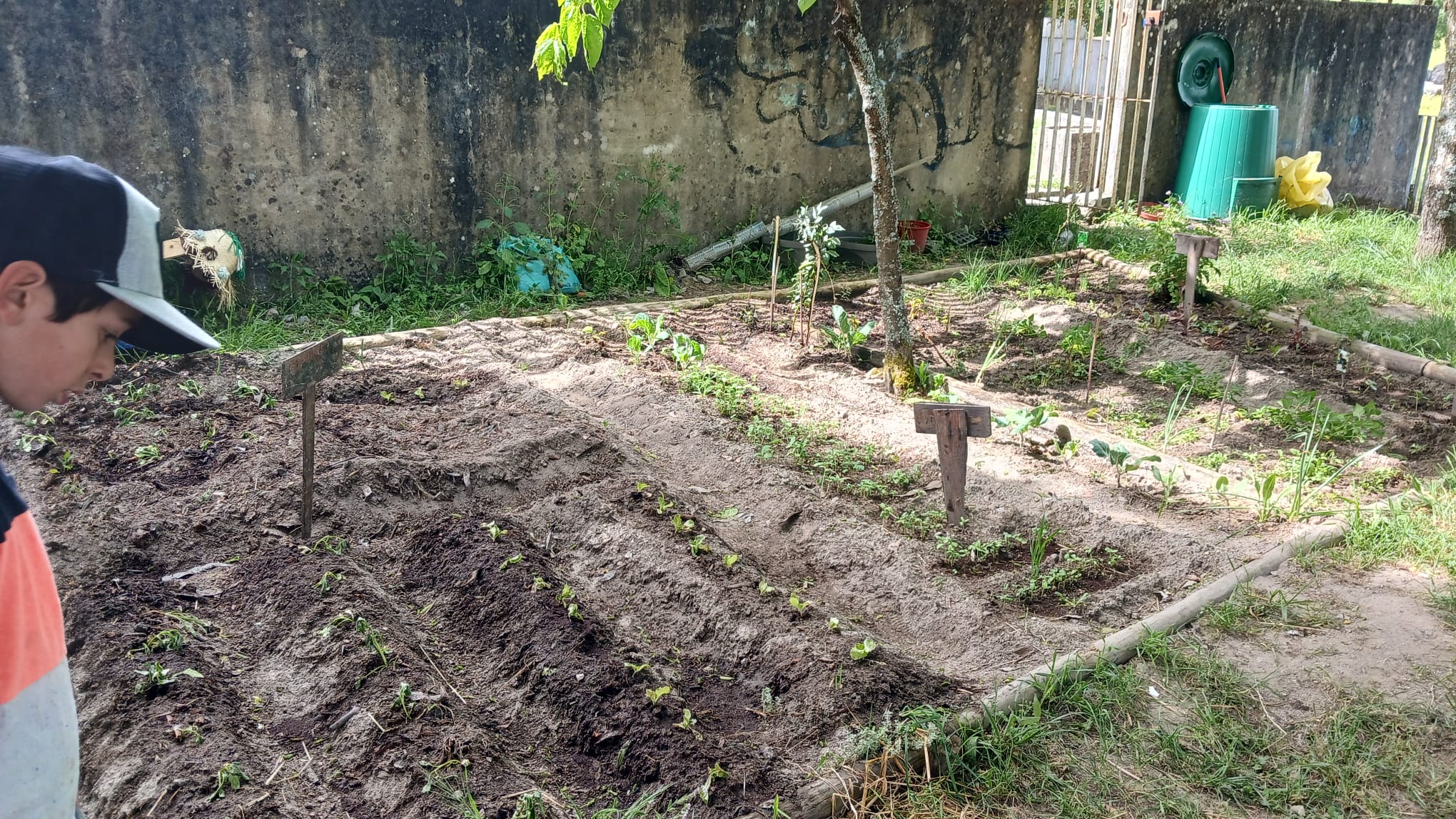 Visualização das plantações (batatas, alfaces, capuchinhas, espinafres, cebolas, salsa, favas, tomates, framboeseira, alfazema, ...).