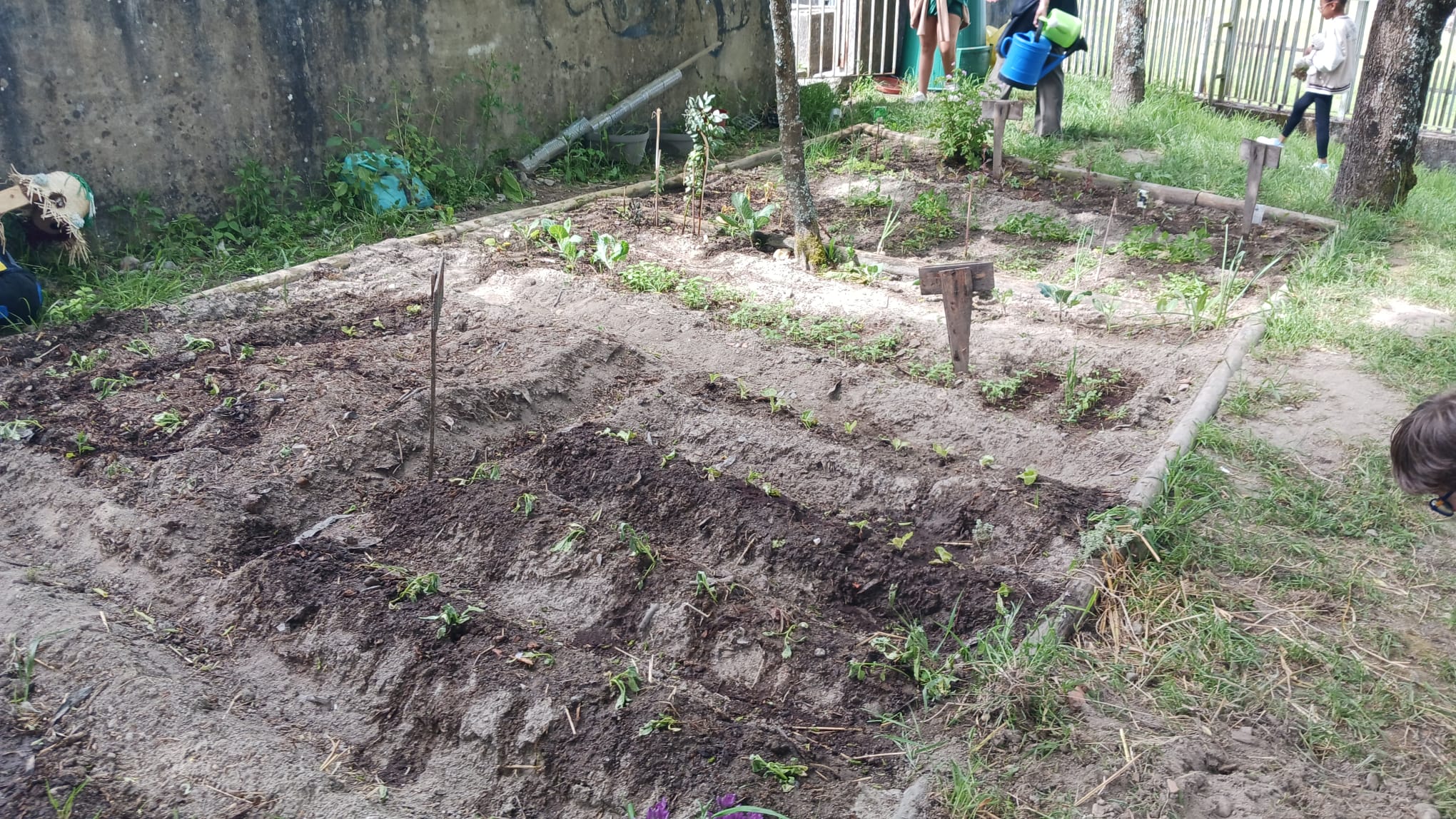 Visualização das plantações (batatas, alfaces, capuchinhas, espinafres, cebolas, salsa, favas, tomates, framboeseira, alfazema, ...).