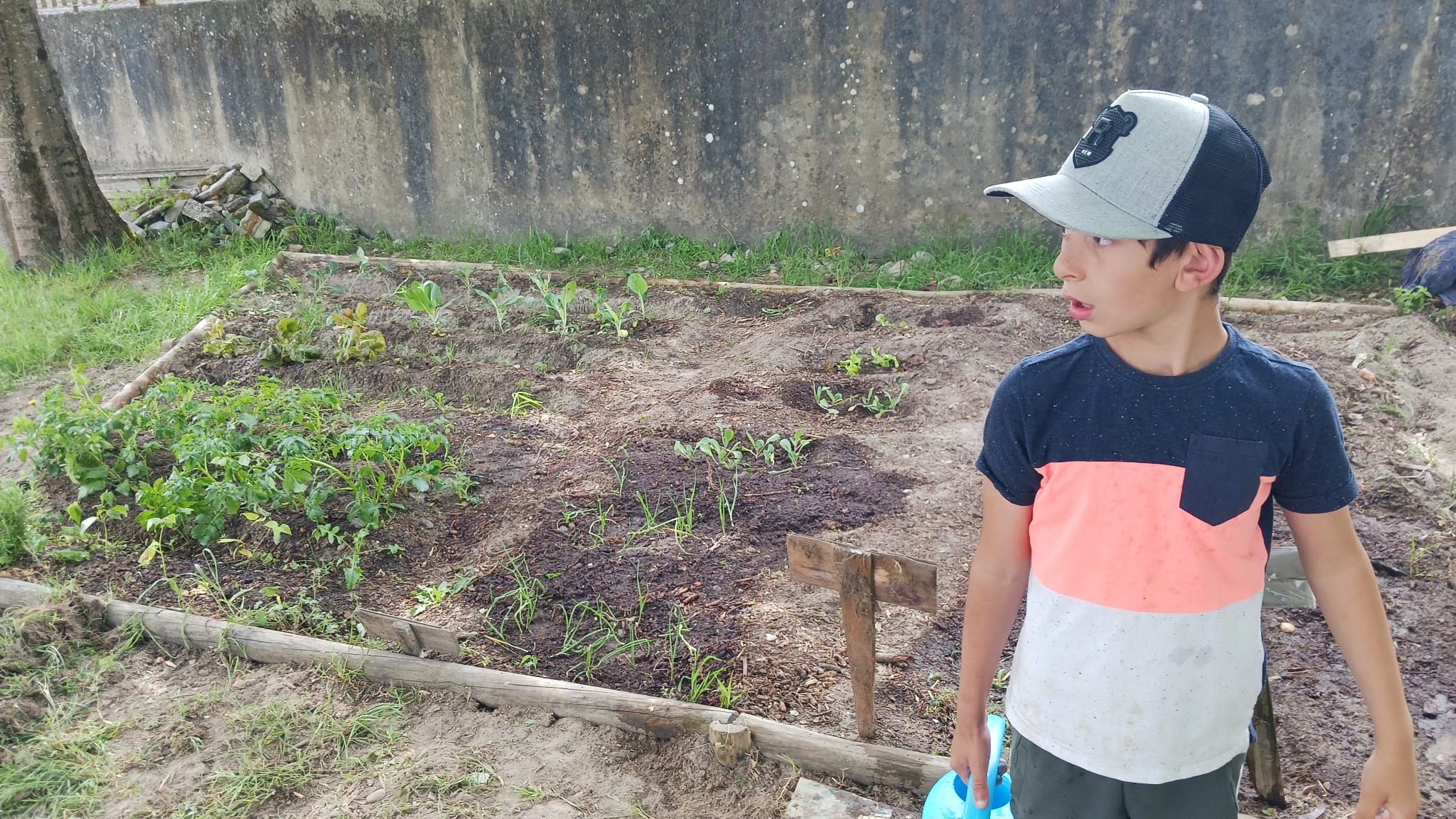 Rega das plantações pelos alunos.
