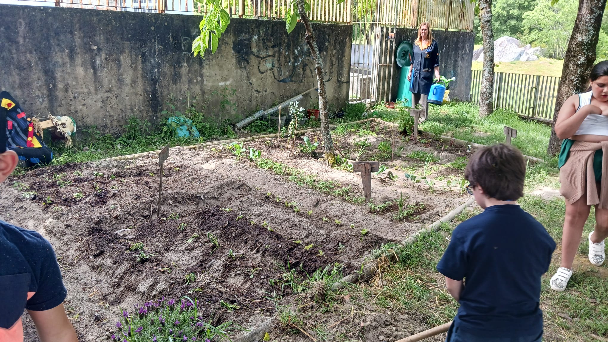 Rega das plantações pelos alunos.