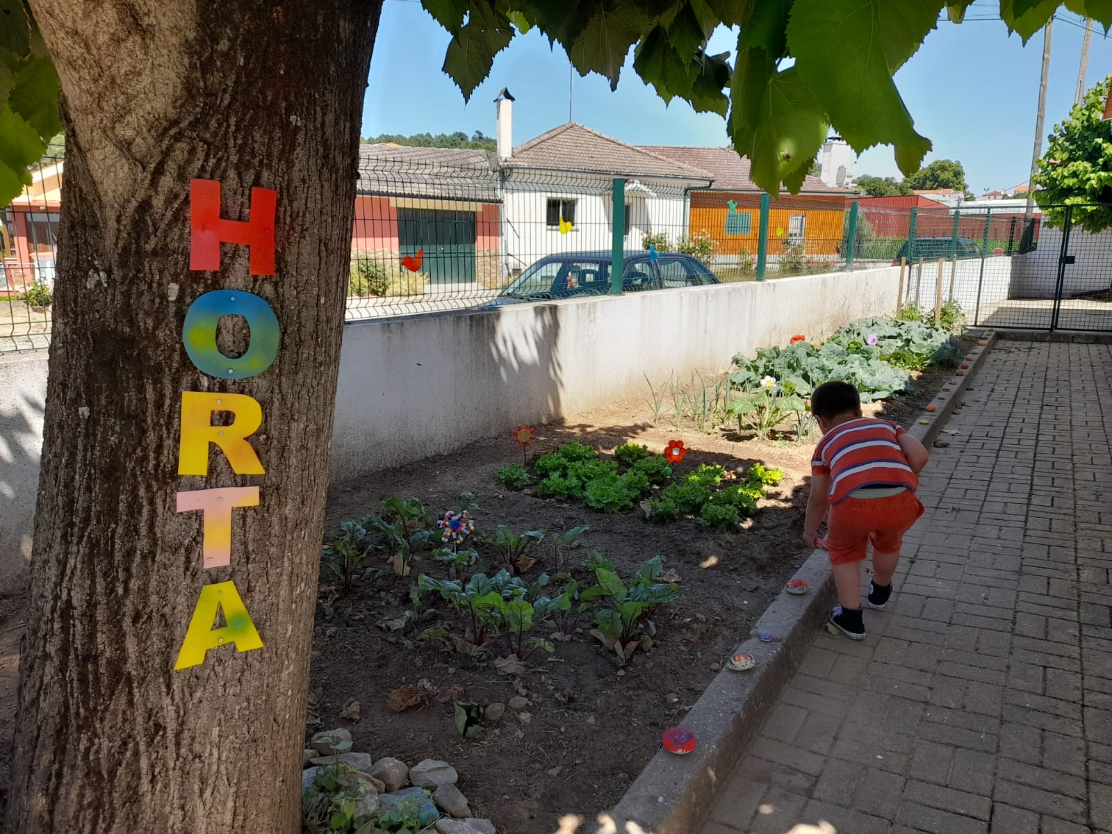 Horta 2026