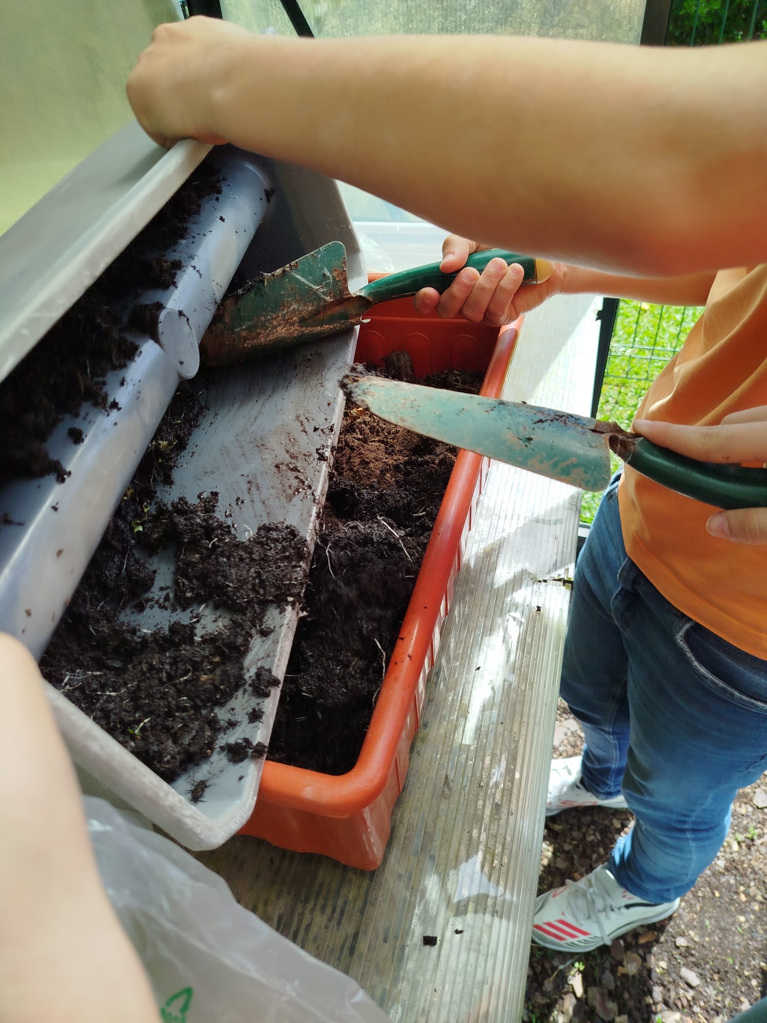 Aprender a preparar a terra
