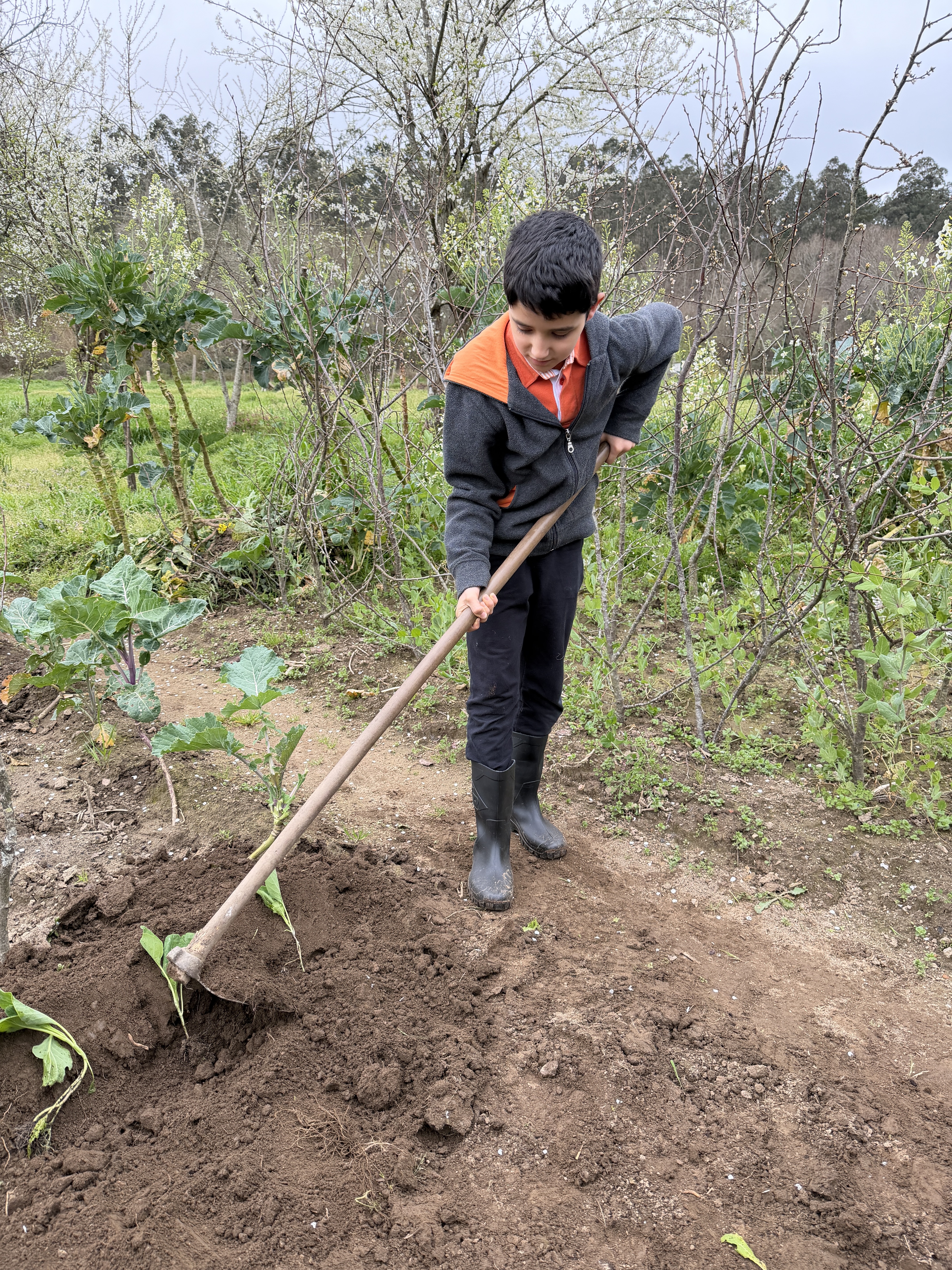 Aprender a preparar a terra com os utensílios corretos