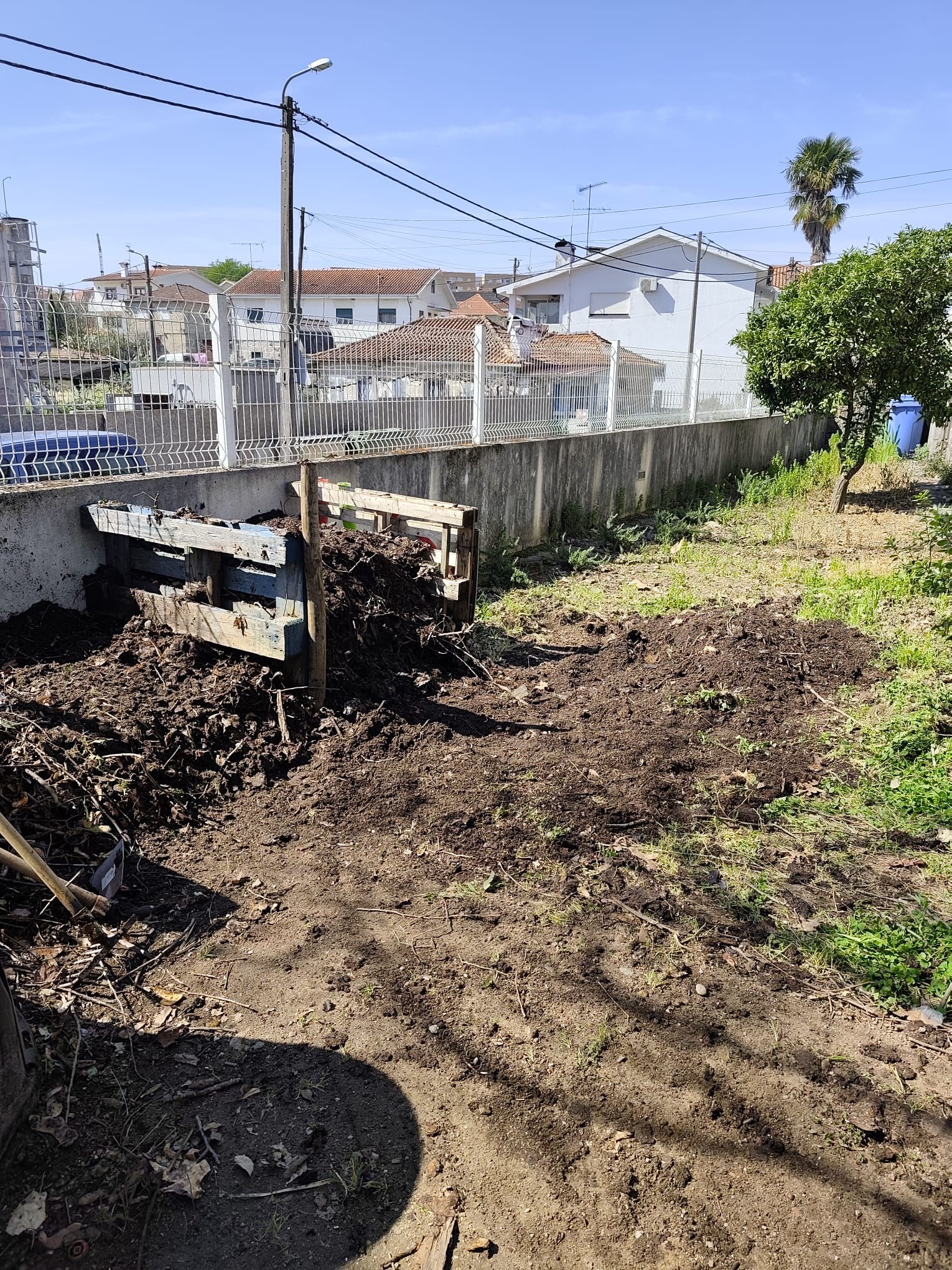 Preparação da terra e adição de composto.