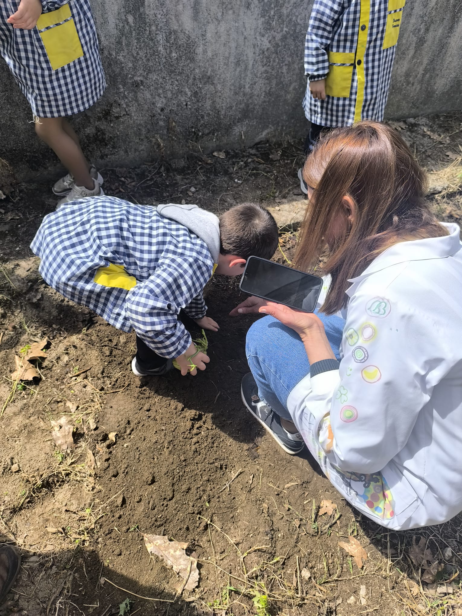 “Participação de toda a comunidade escolar na plantação e manutenção da horta.”