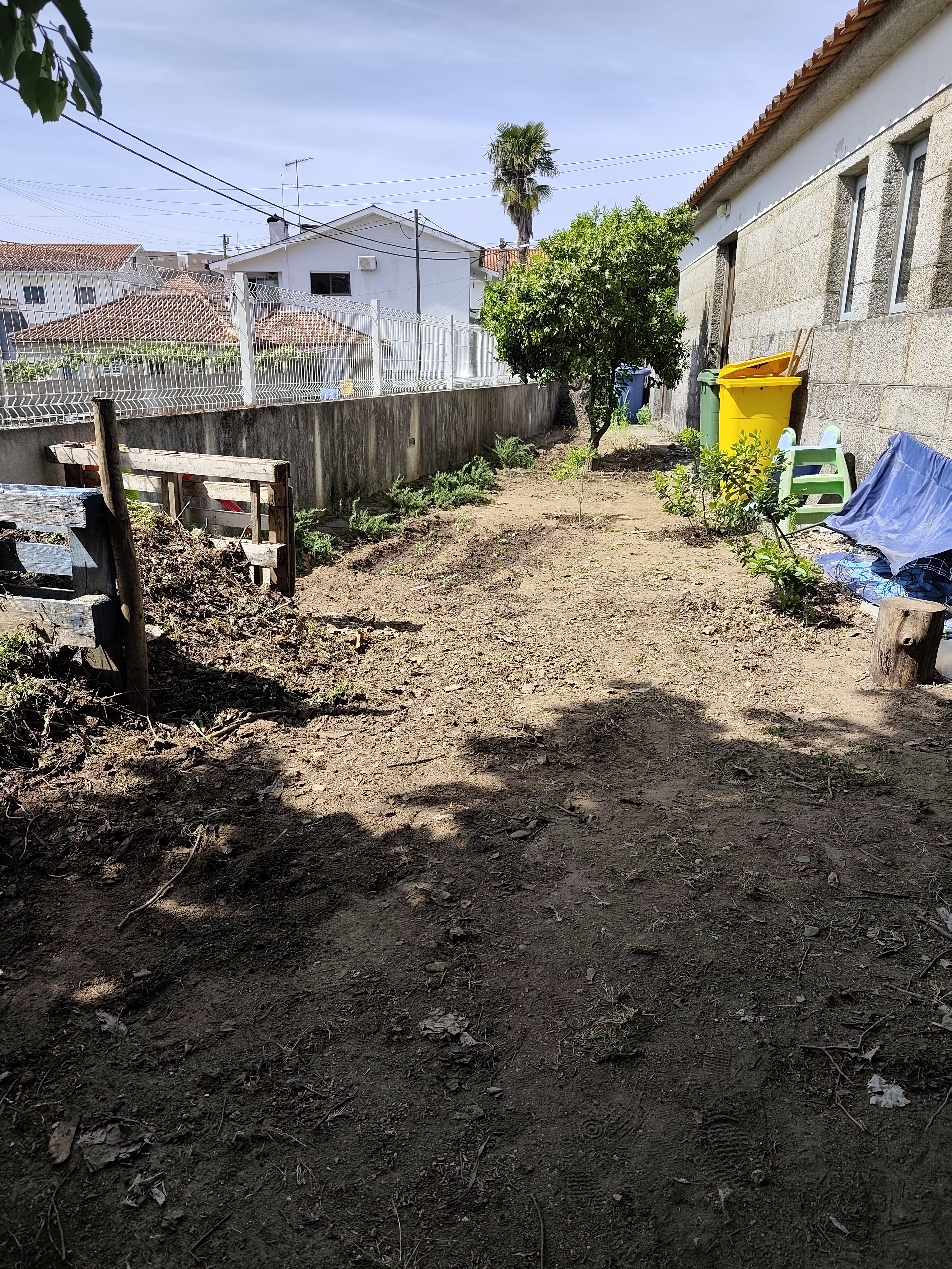 “Participação de toda a comunidade escolar na plantação e manutenção da horta.”
