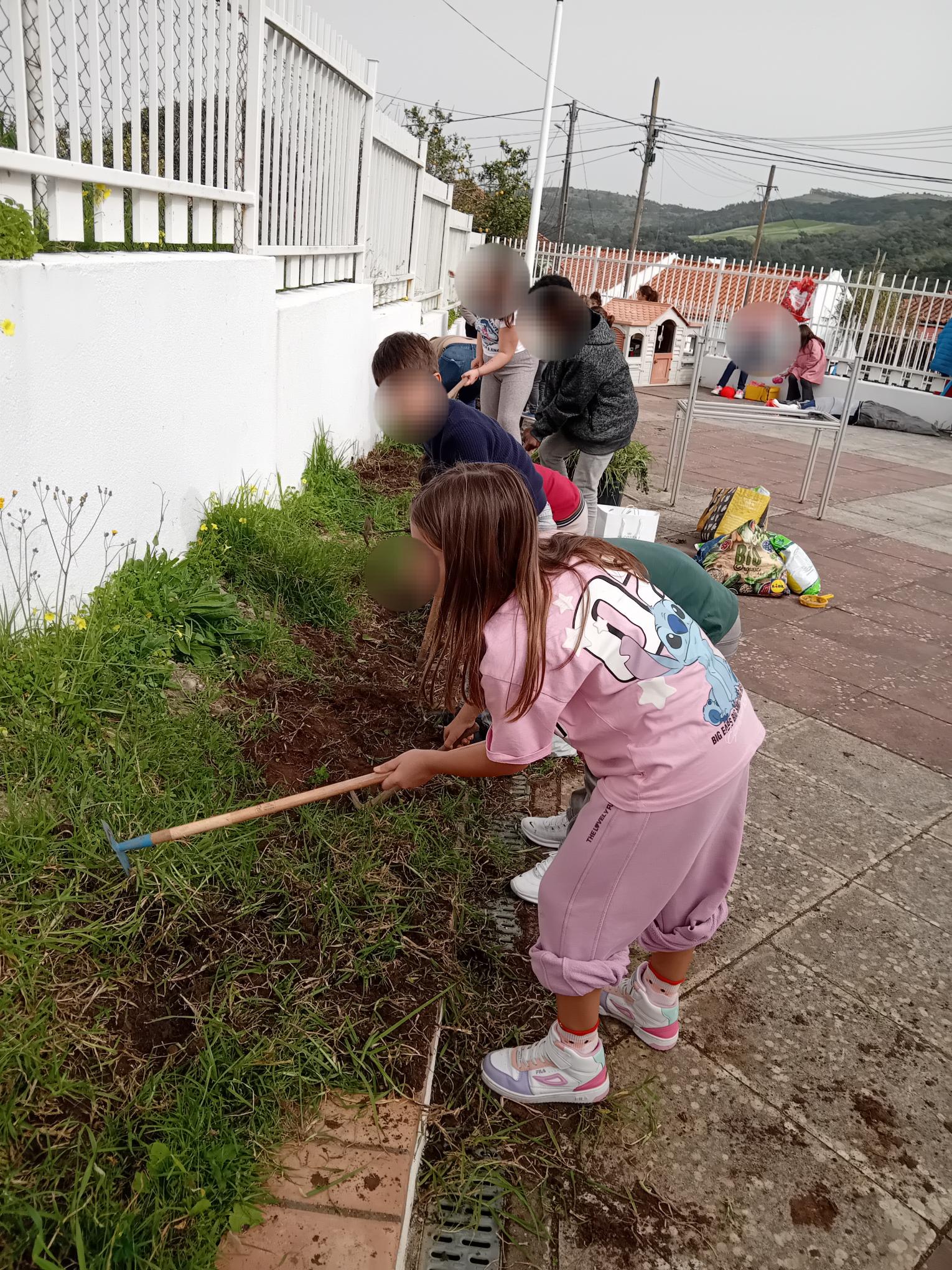 Comeámos por retirar as ervas daninhas.