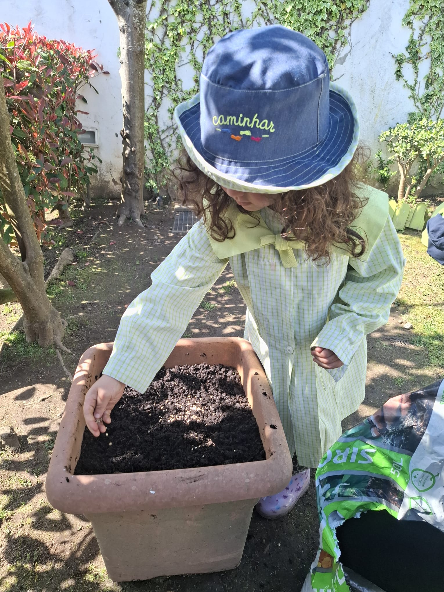 Na horta eco - escolas cultivamos espinafres e consciência ambiental!