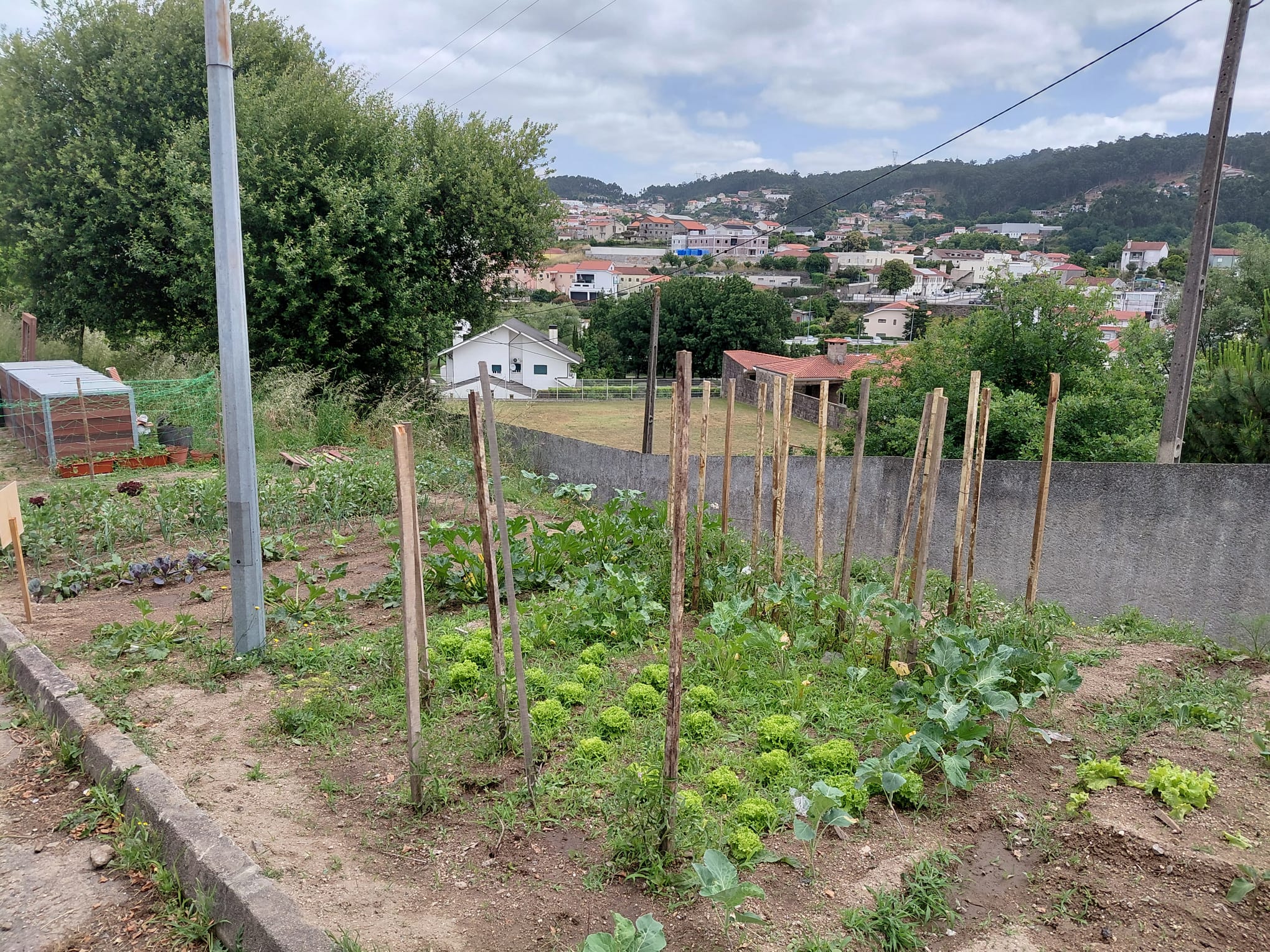 Talhão 10ºRB
