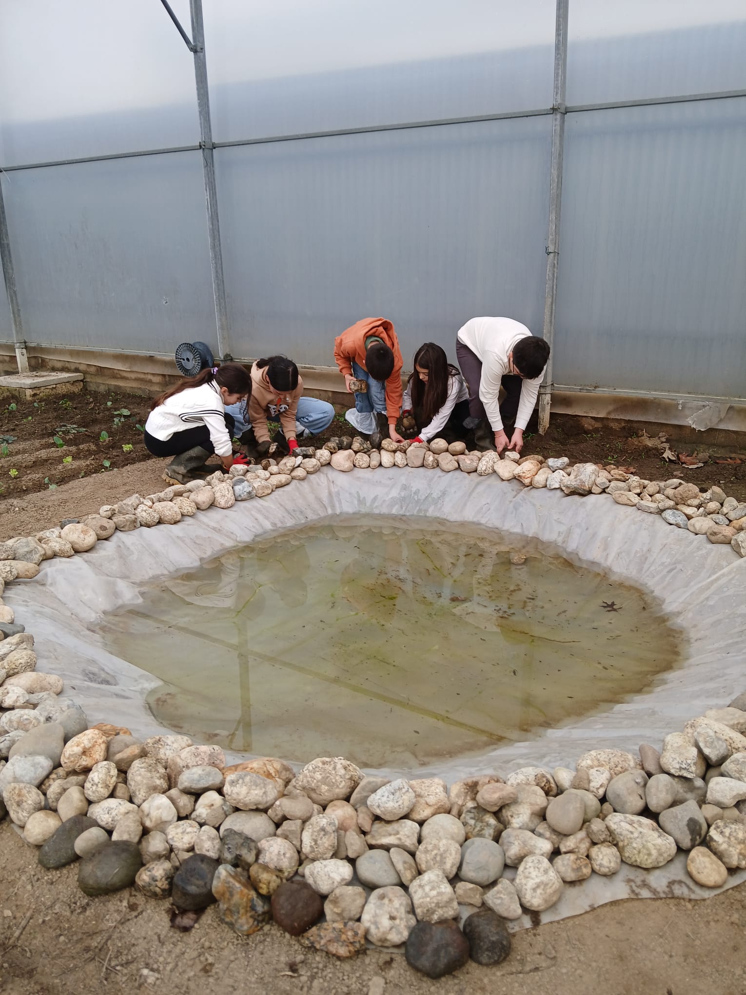 Construção da charca com plástico reutilizado e pedras recolhidas pelos alunos no rio, de forma a promover a biodiversidade no interior da nossa estufa.