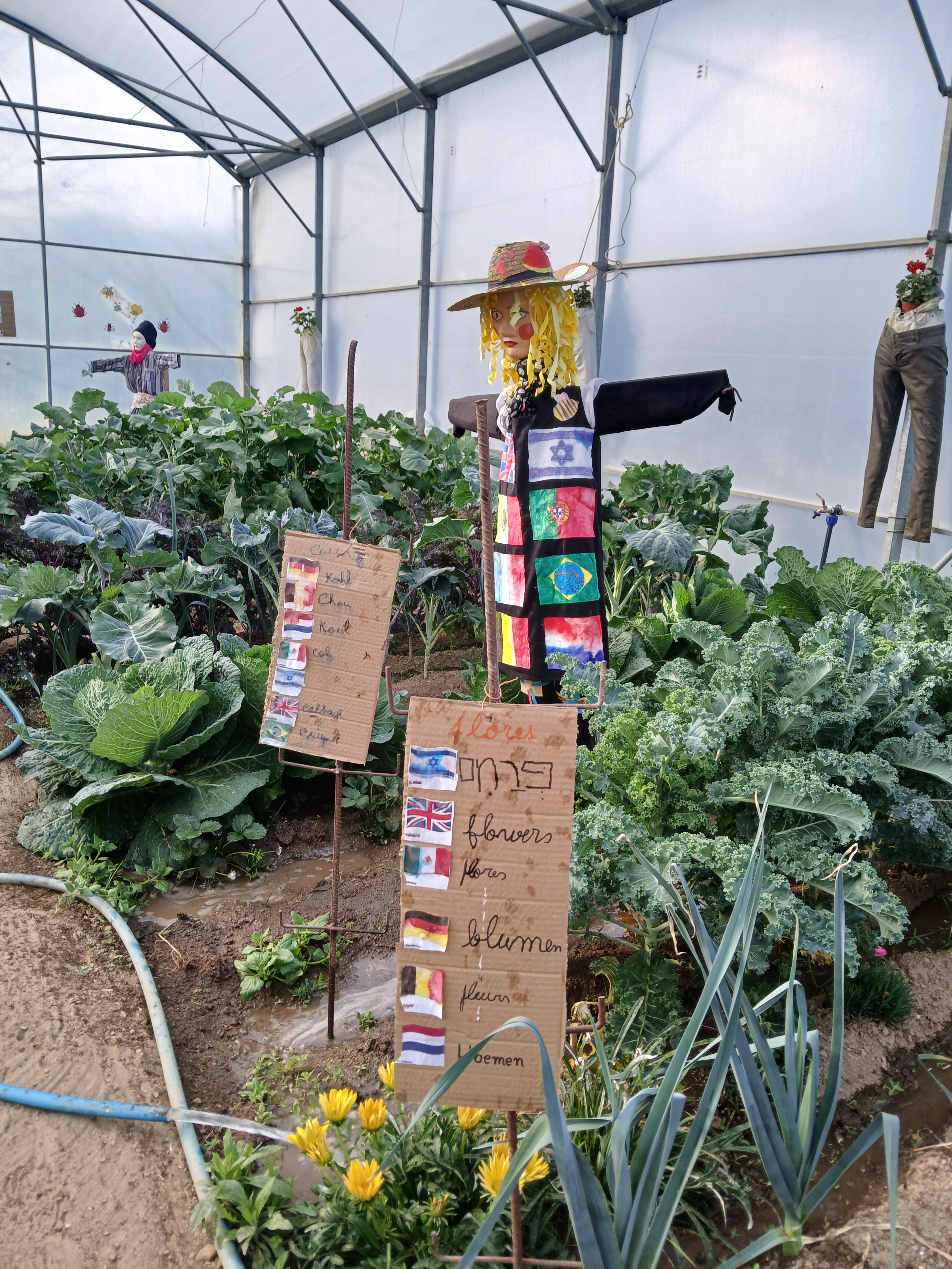 A horta tem permitido uma integração e interação muito enriquecedoras com os nossos alunos de nacionalidade estrangeira, tendo facilitado a aquisição de competências linguísticas e de criatividade, visíveis na criação de espantalhos multiculturais.