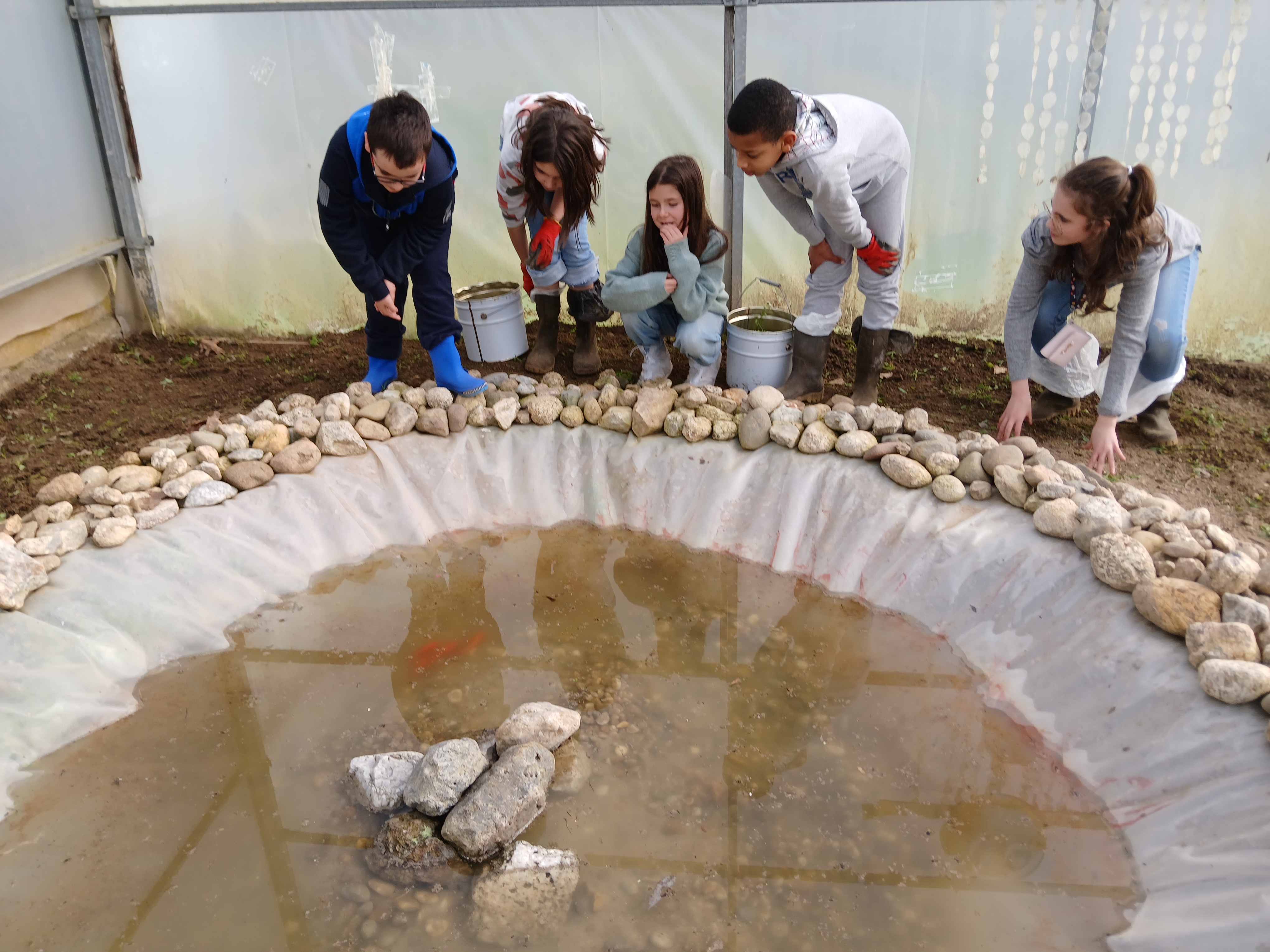 A charca, construída no primeiro período, ganhou habitantes (quatro peixes) trazidos de um habitat idêntico, de forma a mitigar as dificuldades de adaptação e fazem a delícia de todos que trabalham e visitam a estufa, incluindo todos alunos do pré-escolar