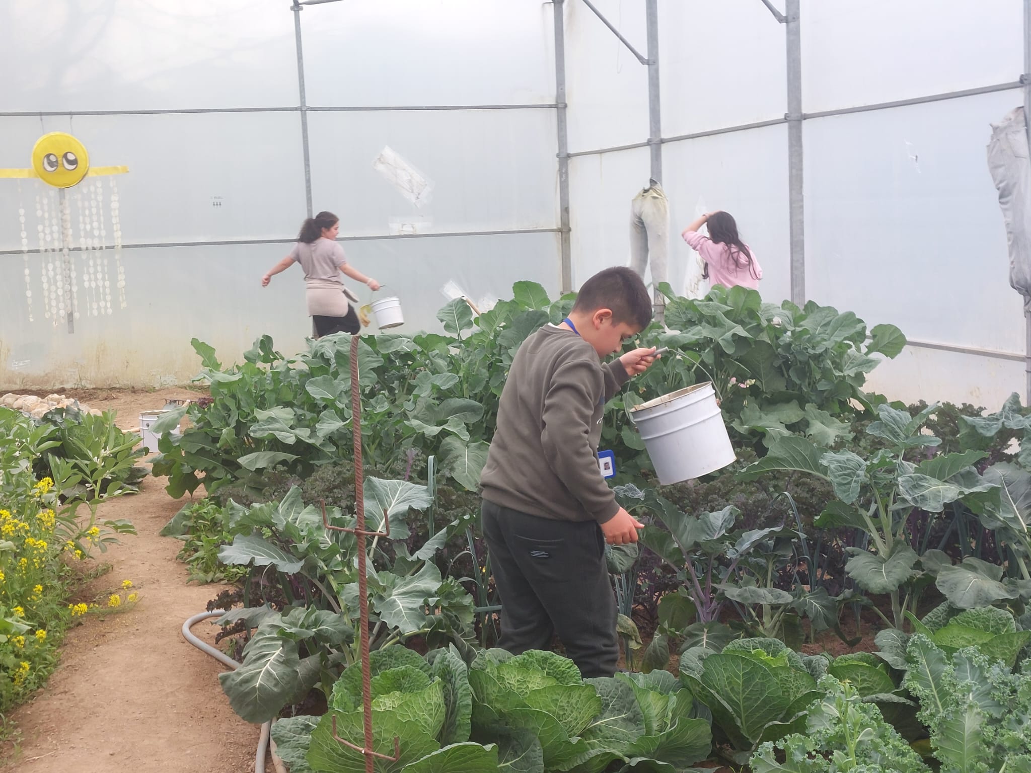 Os nossos alunos continuam empenhados em cuidar das plantas e animais da estufa escolar.